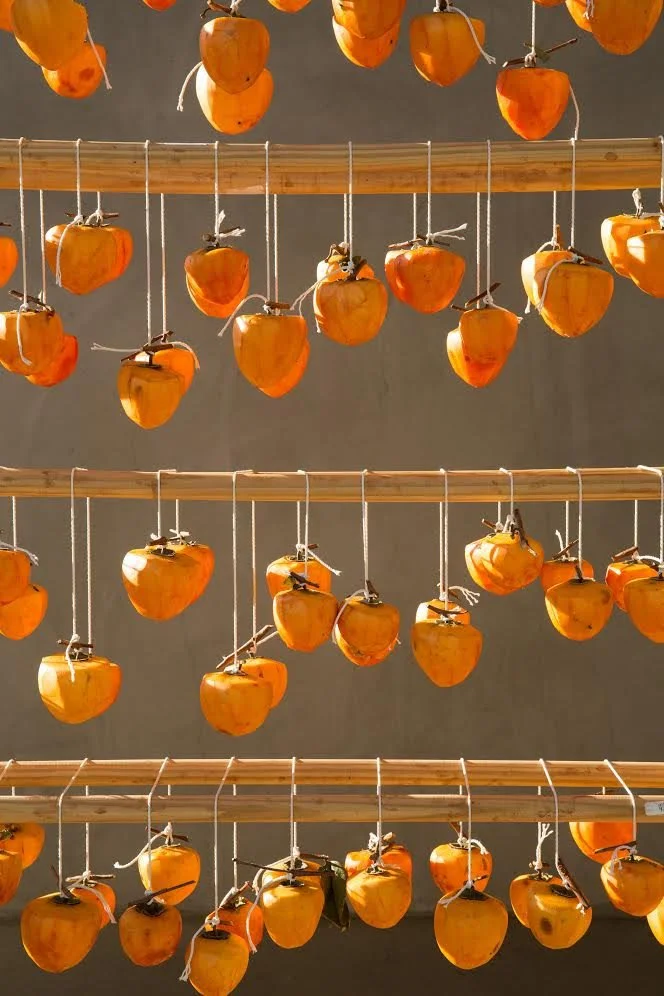 persimmon (1).jpg