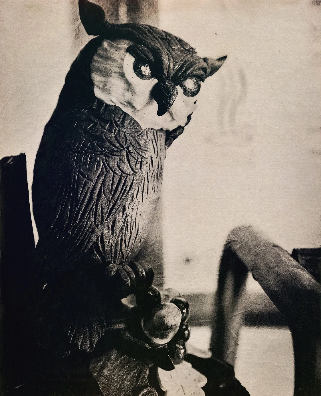 Image size for AL website.jpg