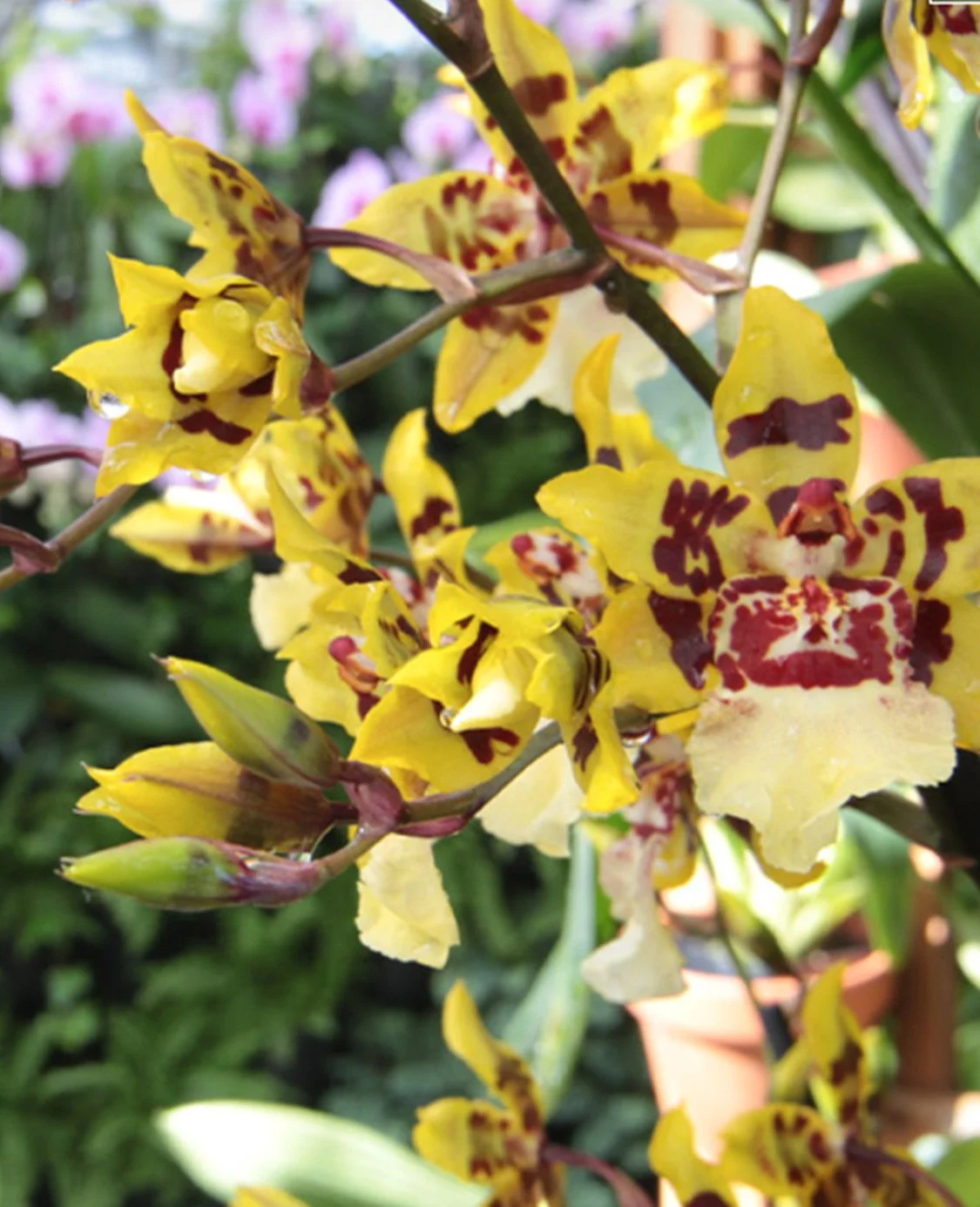 Image size for AL website.jpg