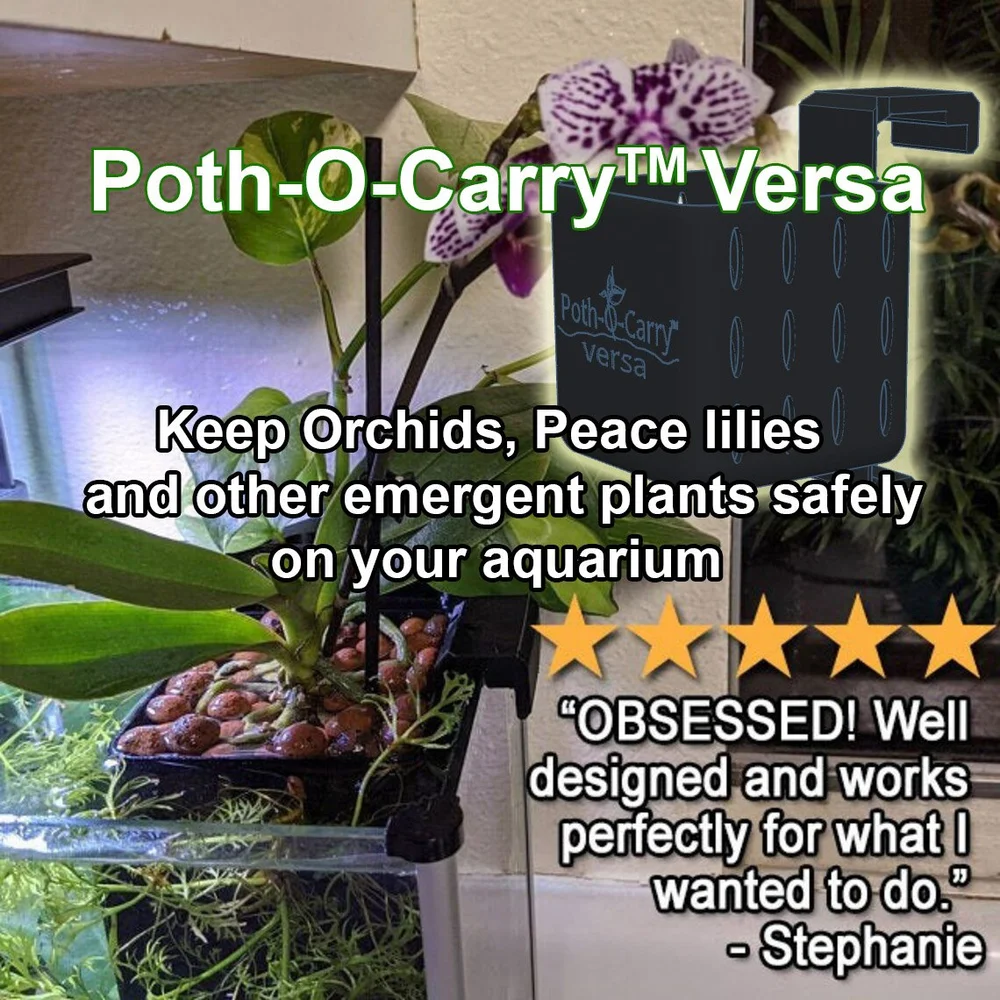 Poth-O-Carry Versa Emergent Plant Aquarium Basket  The Poth-O-Carry Store