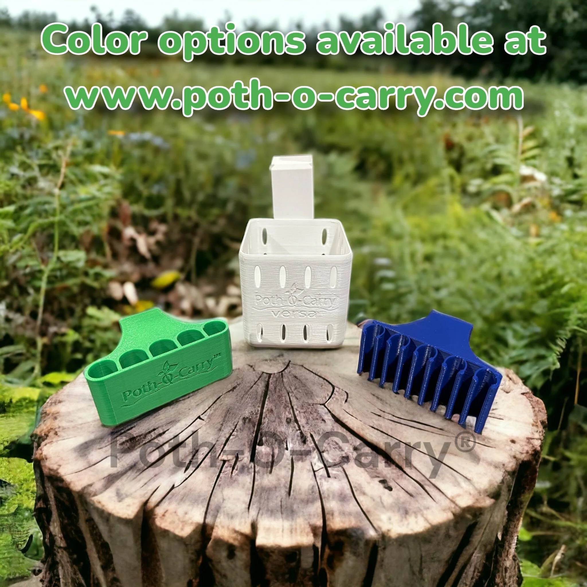 Color Options.jpg