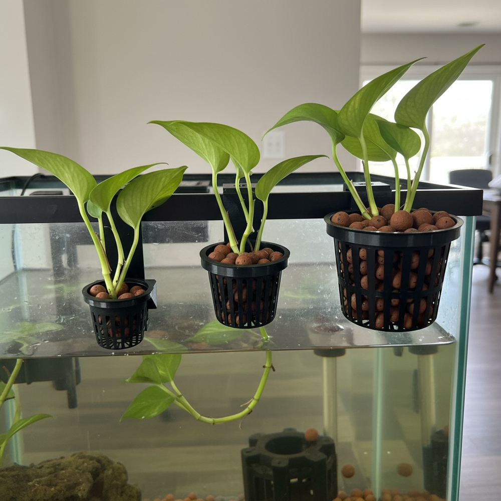 Poth-O-Carry Solo - Net Pot Holder for Your Aquarium