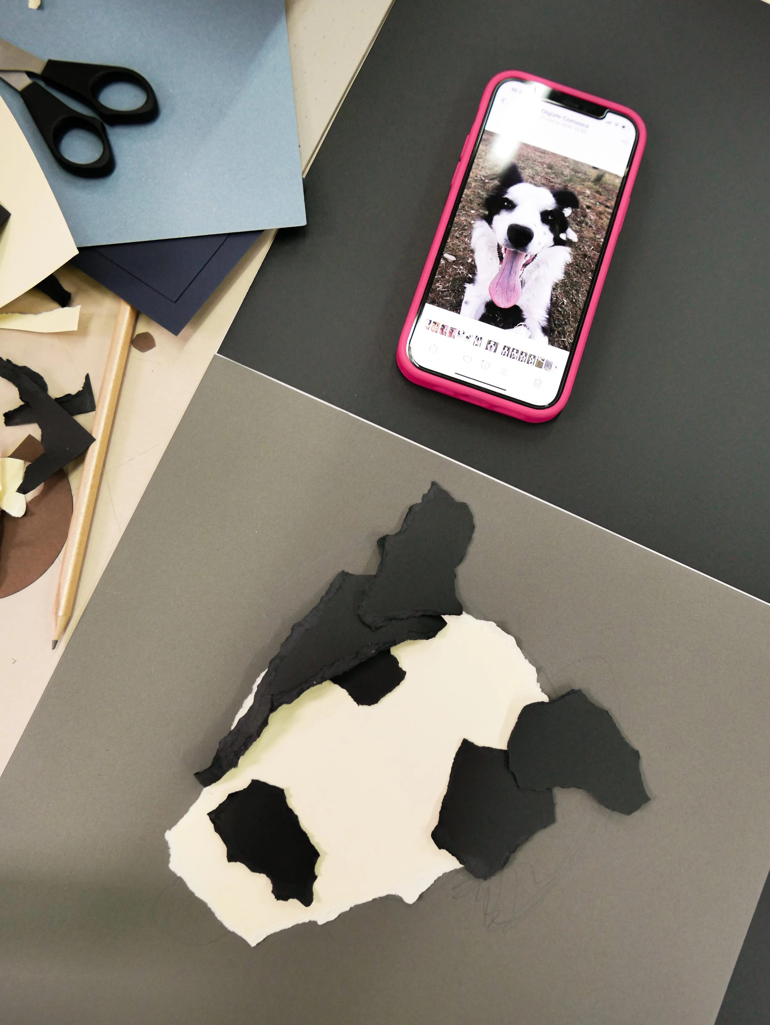 WORKSHOP COLLAGE PETS