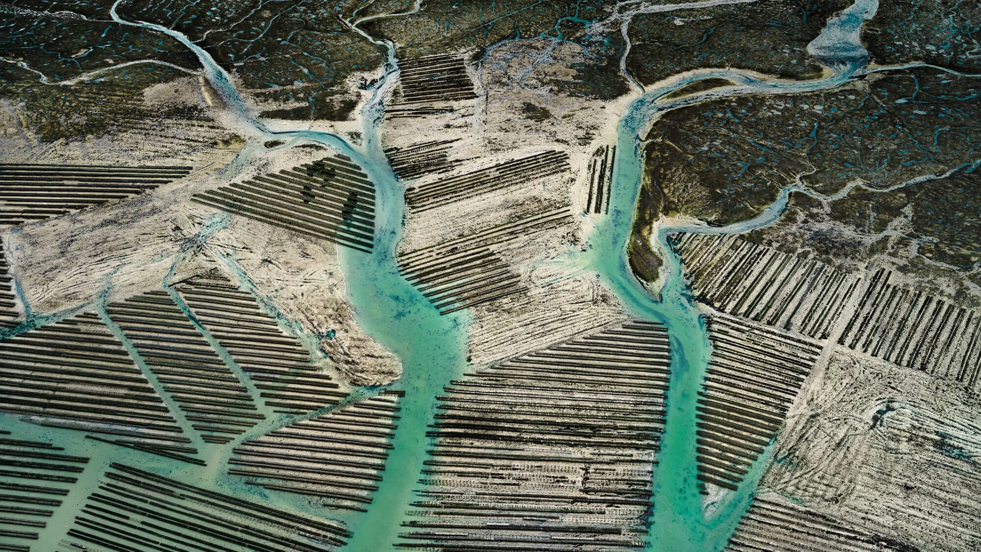 Overview for Insights: Images of Earth from Above