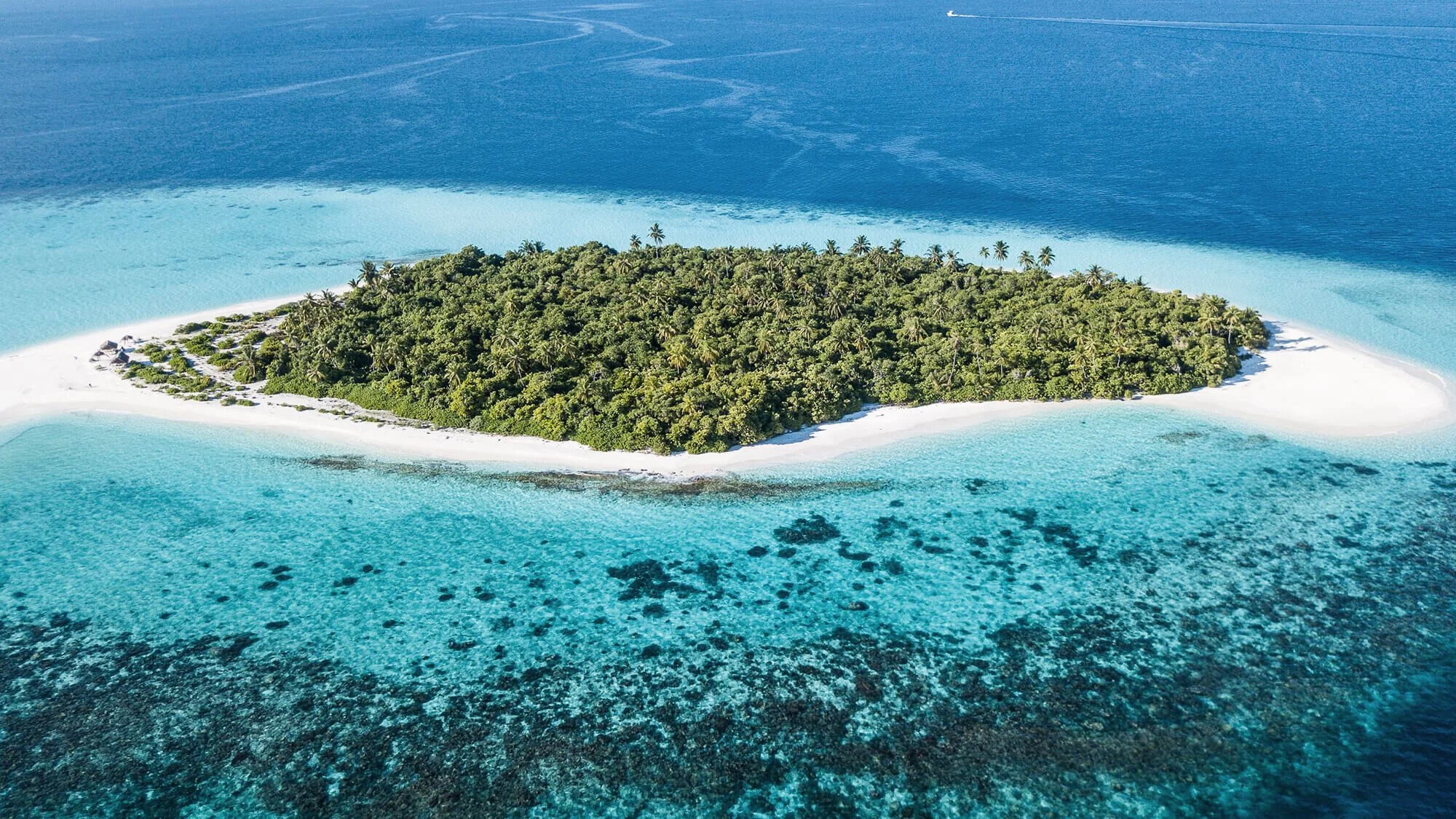 Maldives Bans Single-Use Plastic Imports