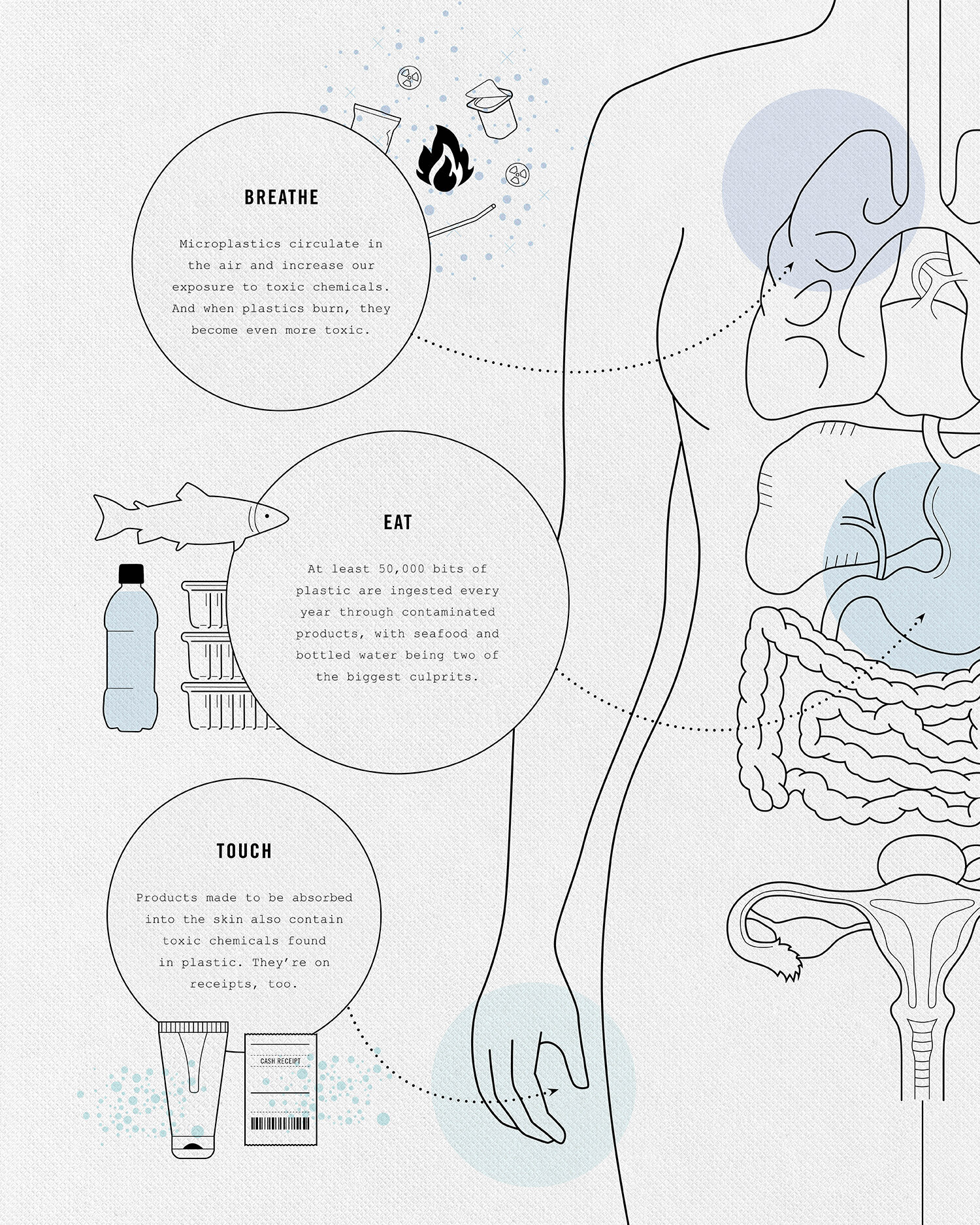 New insights into the release of microplastics from breastmilk storage bags