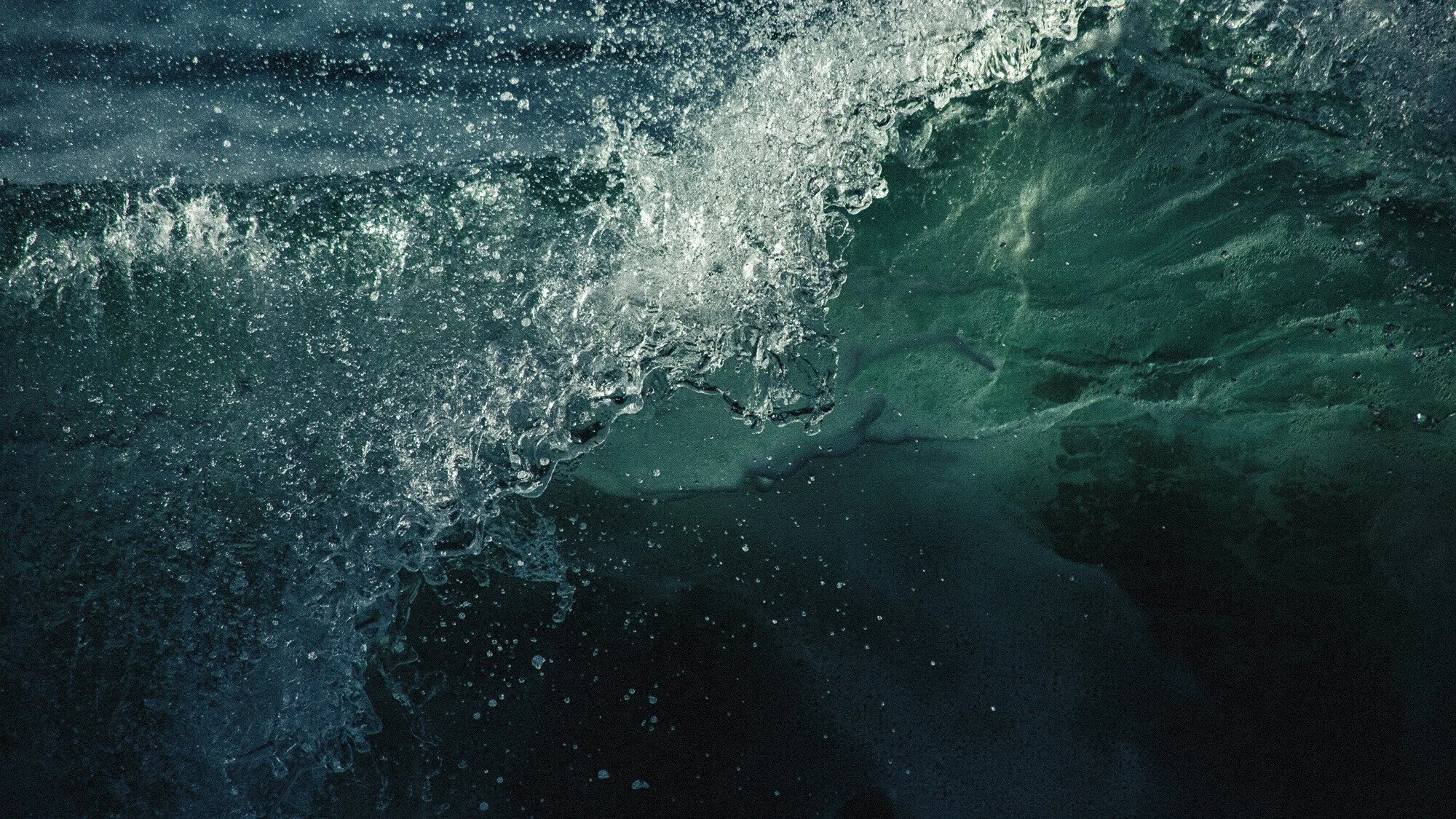 Black History Month: Five Leaders Who Made Waves in Marine Science