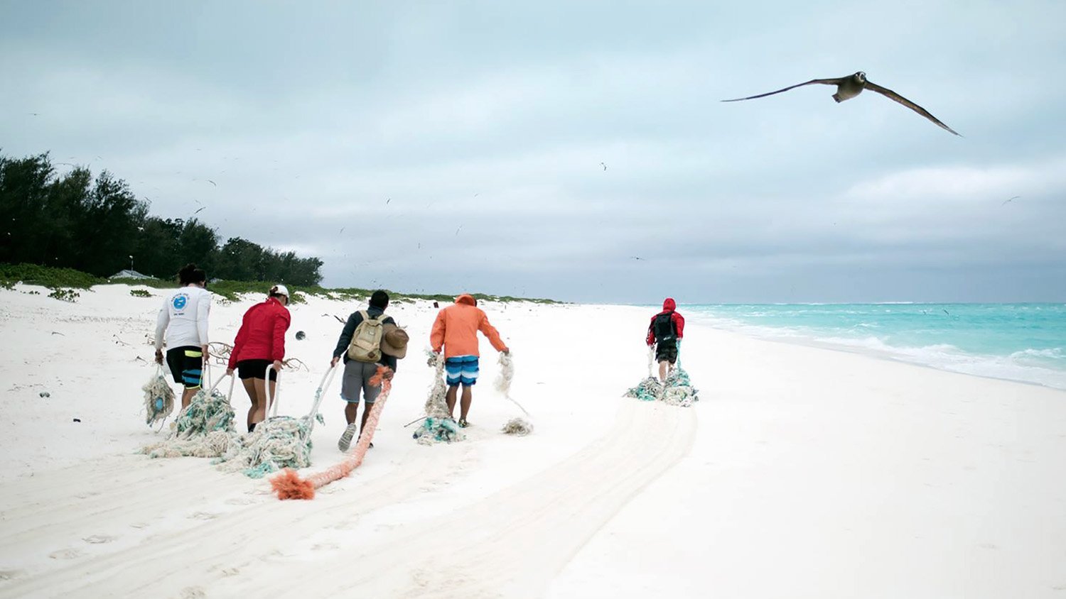  Parley beach cleanup, Northwestern Hawai'ian Islands. 