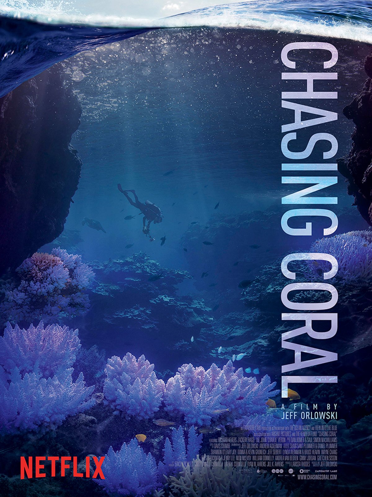 chasing coral.jpg