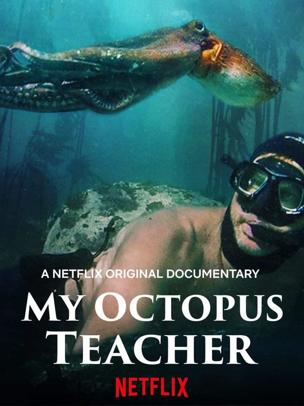 my octopus teacher.jpg