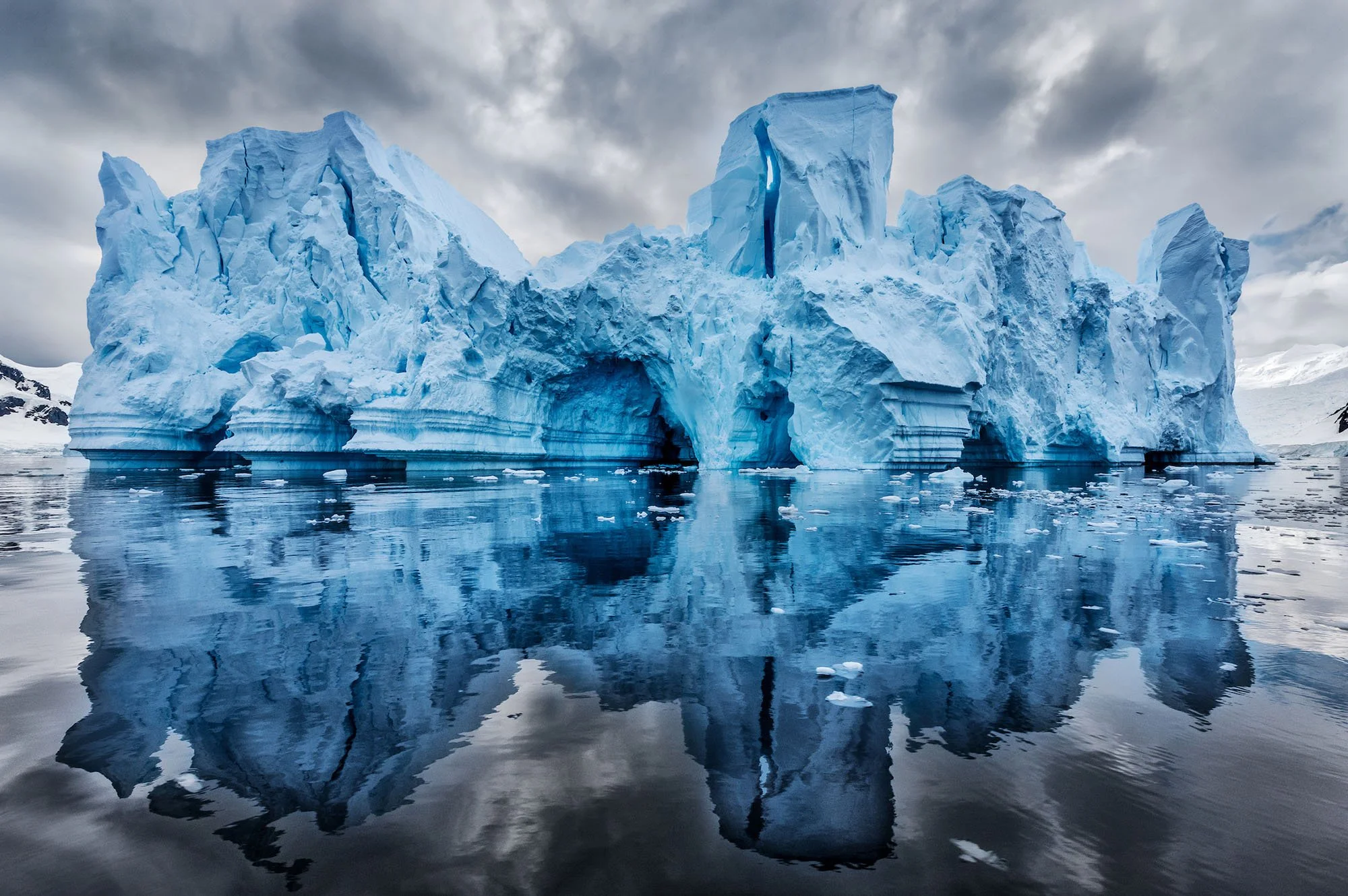 in_focus_Paul Nicklen_7.jpg