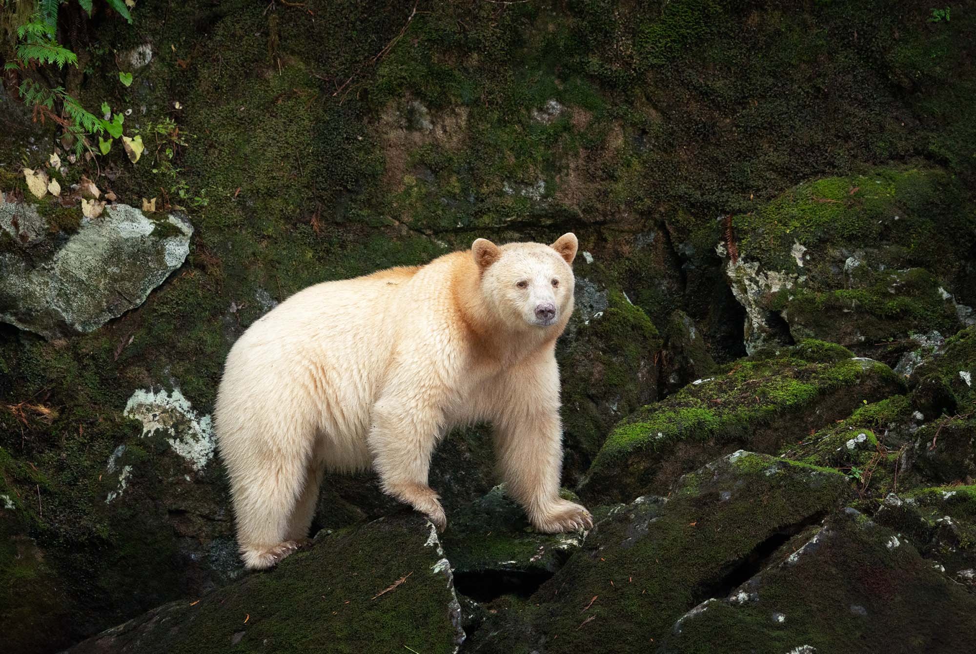 in_focus_Kali Wexler_5.jpg