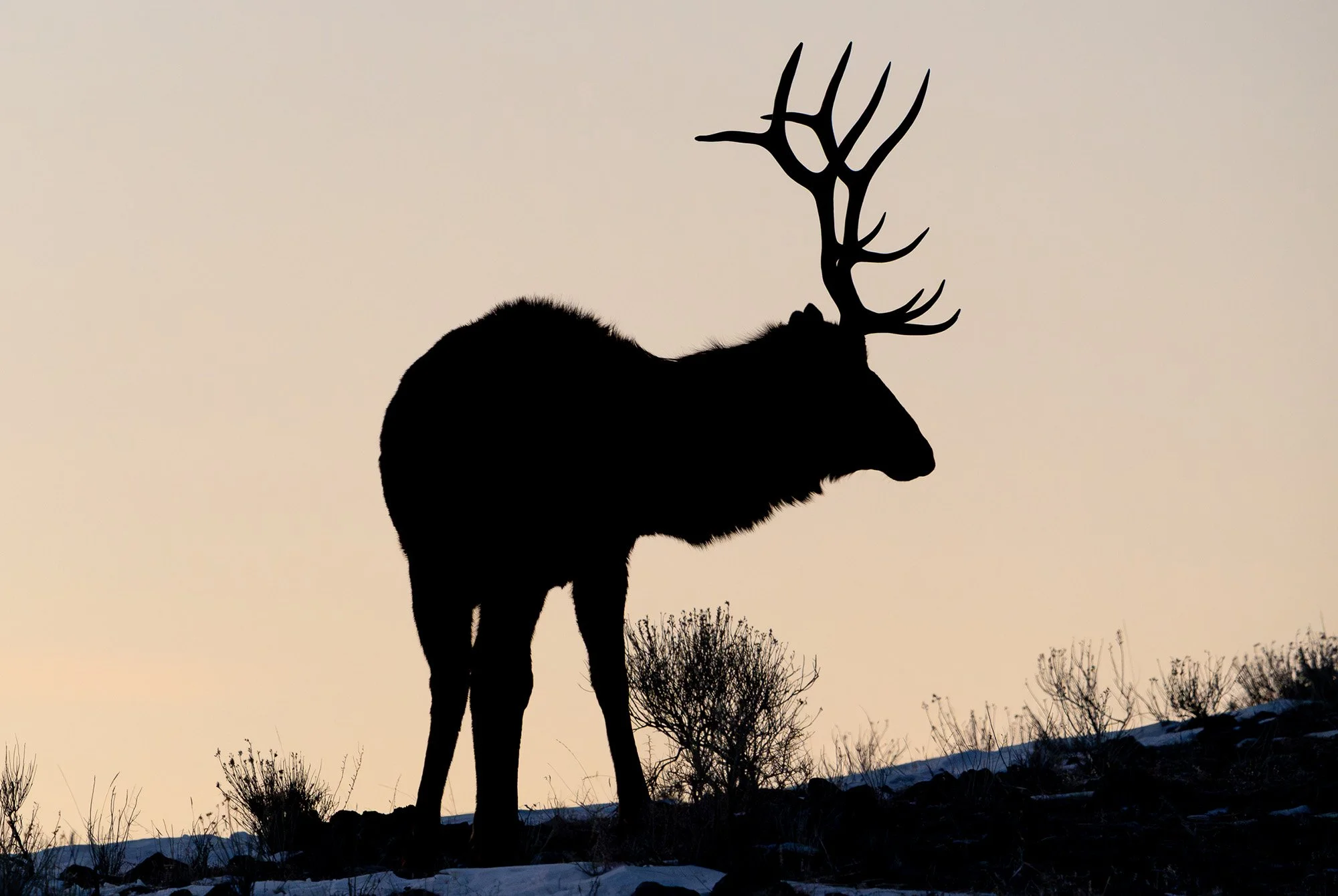 in_focus_Kali Wexler_9.jpg