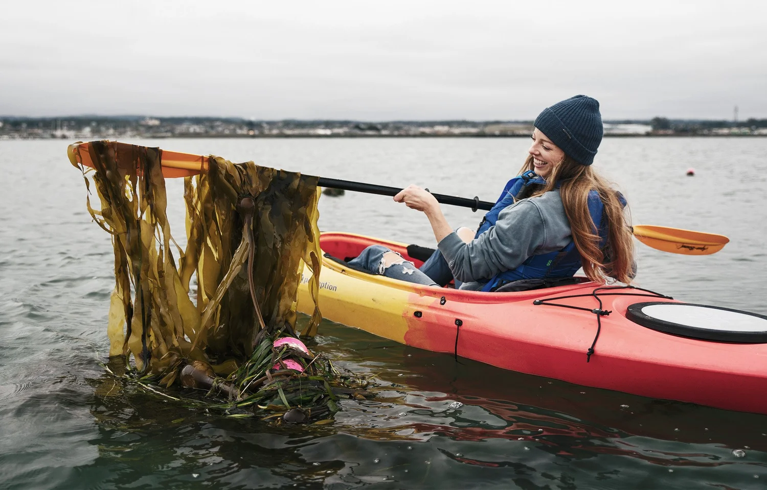 How Sway is using seaweed to replace single-use plastic — Parley