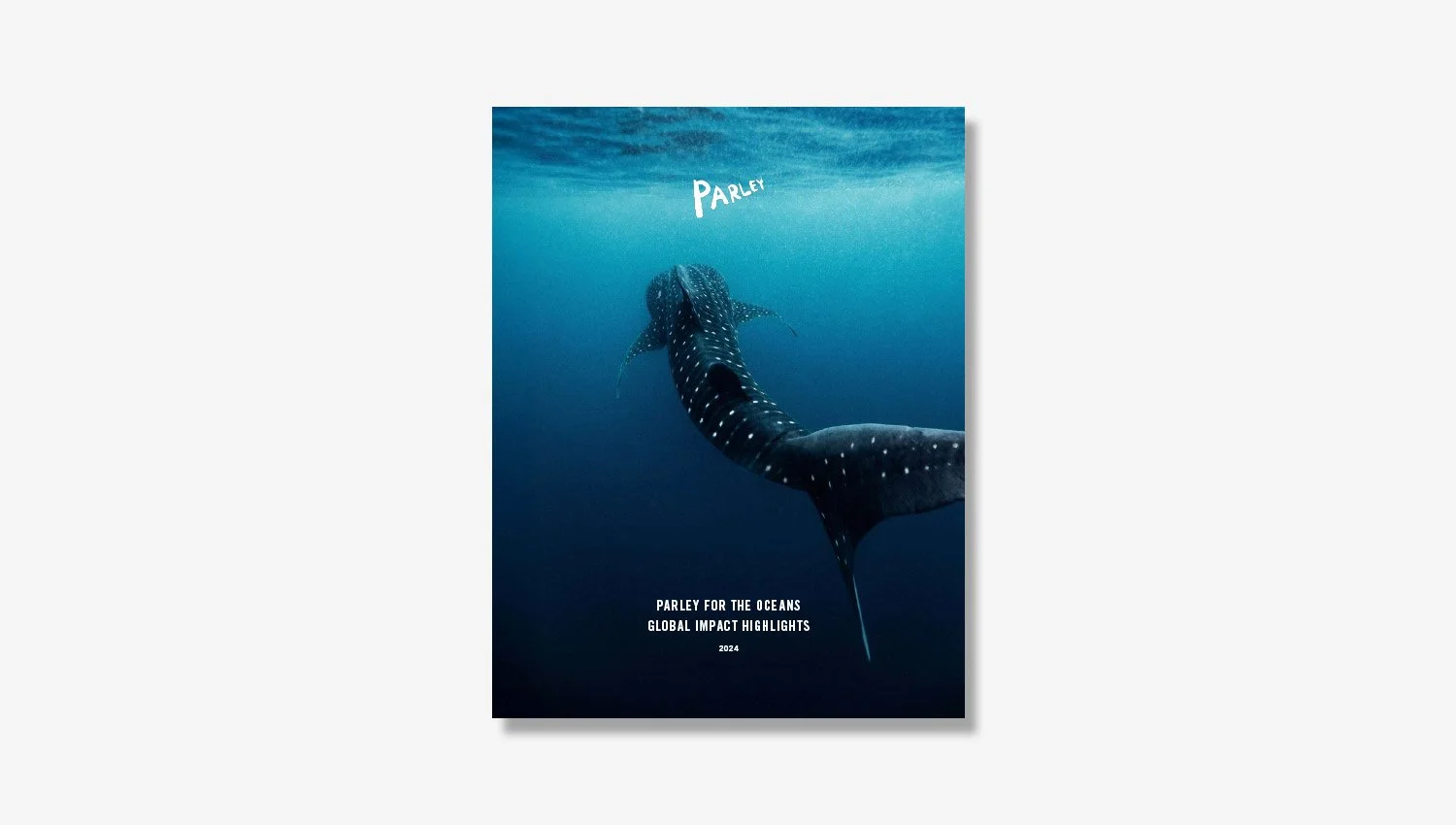 Exploring our Global Impact