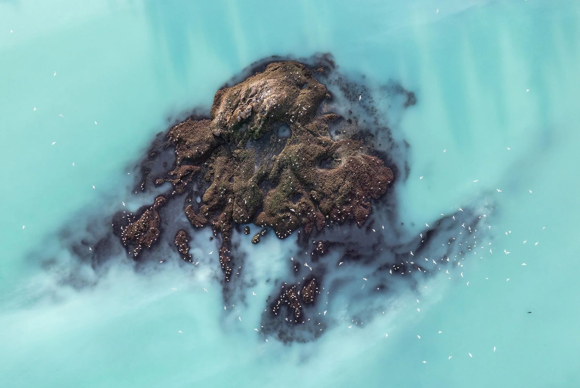 in_focus_Kali Wexler_3.jpg