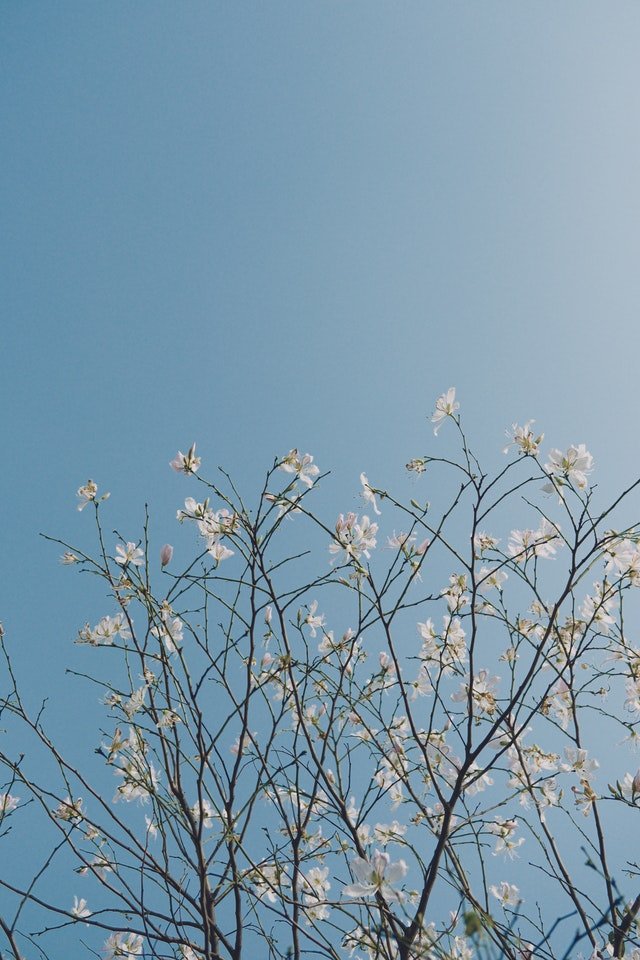 Peace of Mind
