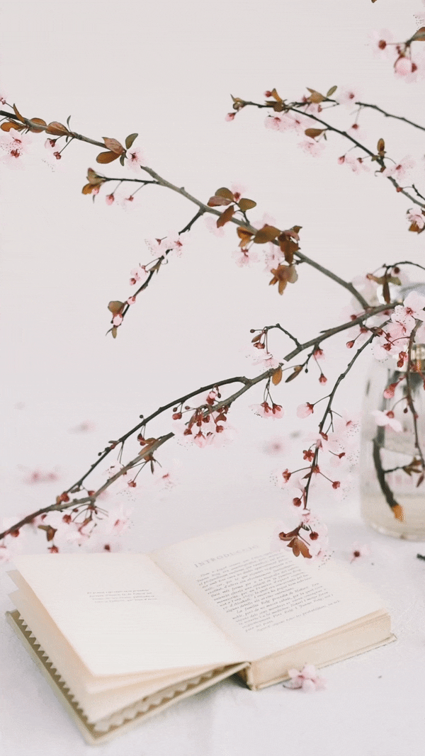Wellbeing habits and rituals for business owners