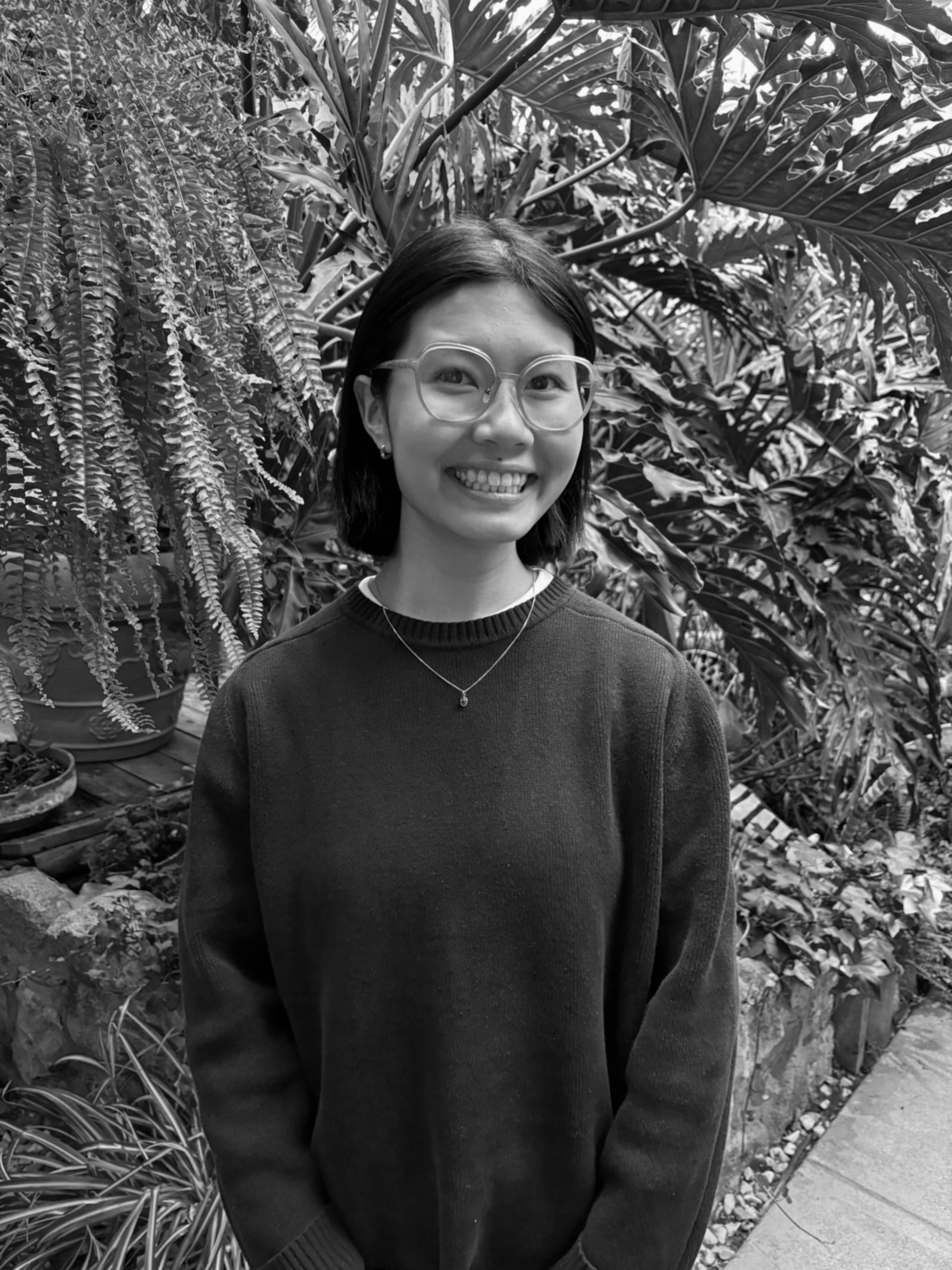 THY HUYNH, Admin, Research Assistant