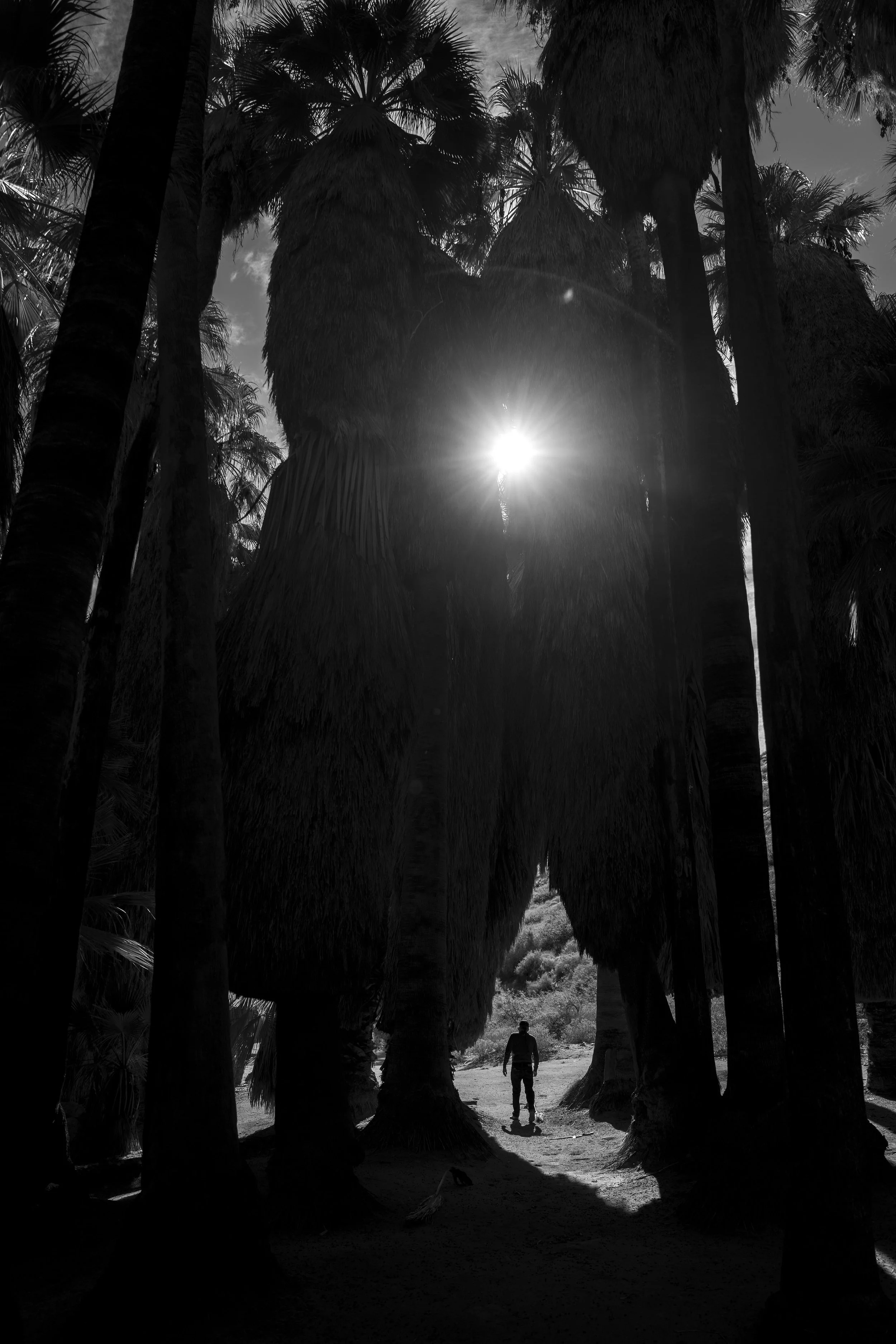 Say Uncle: Photographs by Marcus Xavier Chormicle
