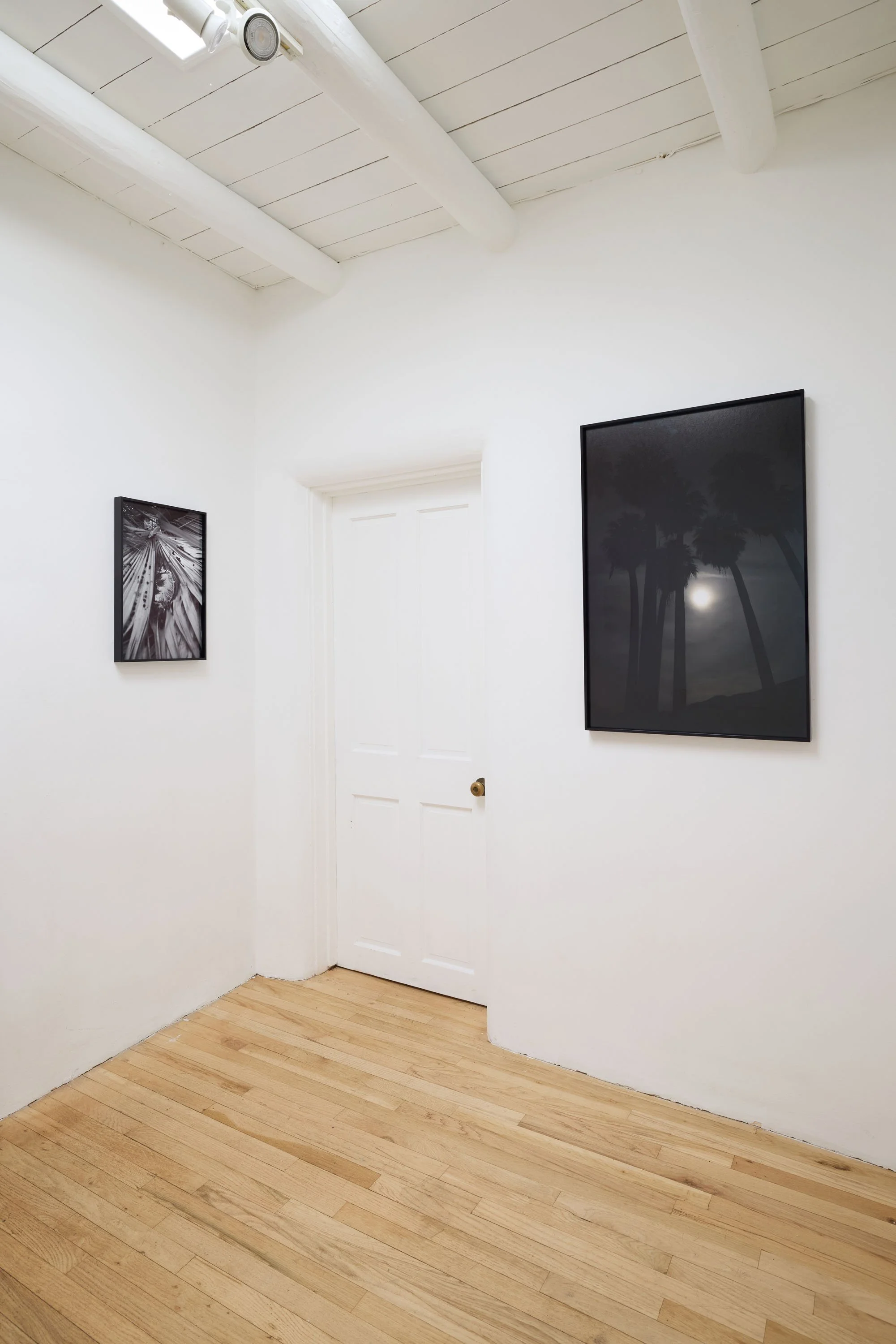 20250815 Smoke The Moon 0065.jpg