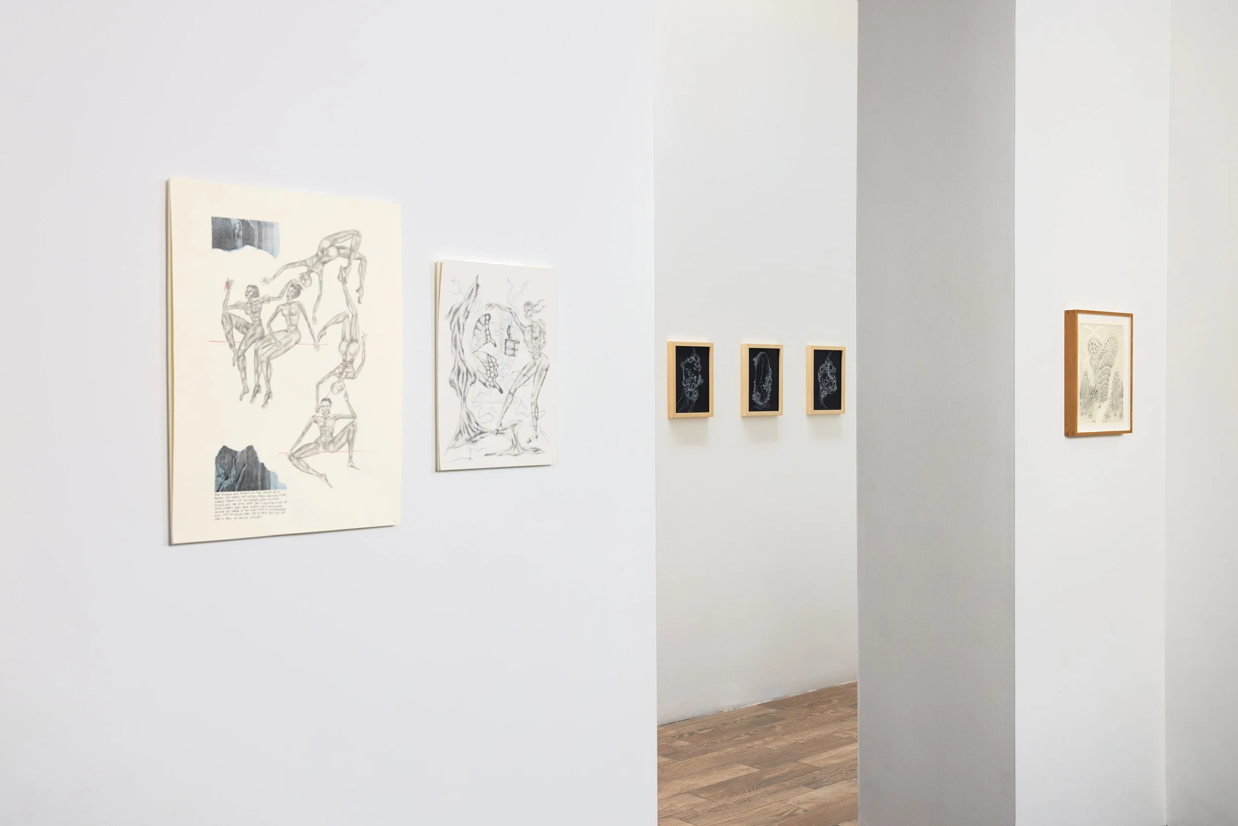 20260206 Smoke The Moon 0075.jpg