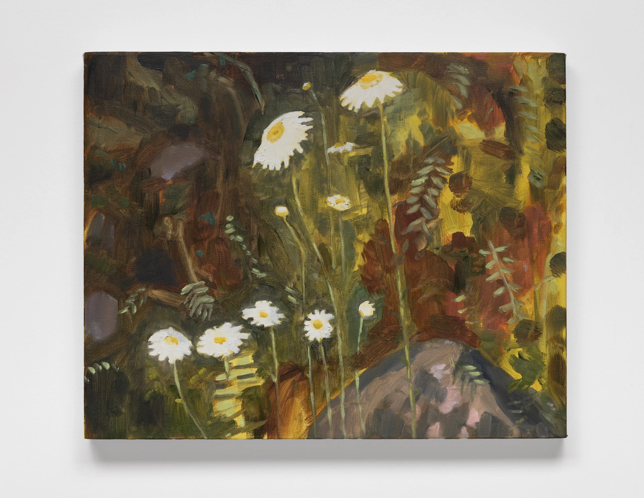 NF - LAKEDAISIES.jpg