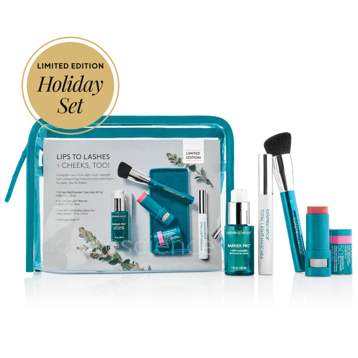 Holiday kit.webp