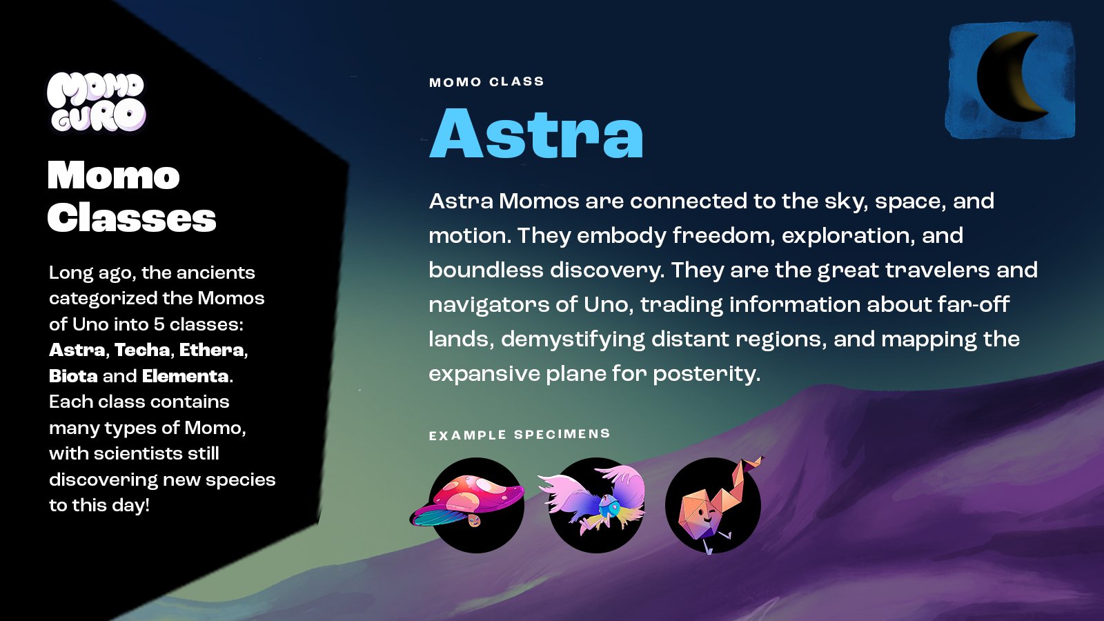 momo-classes_astra.jpg