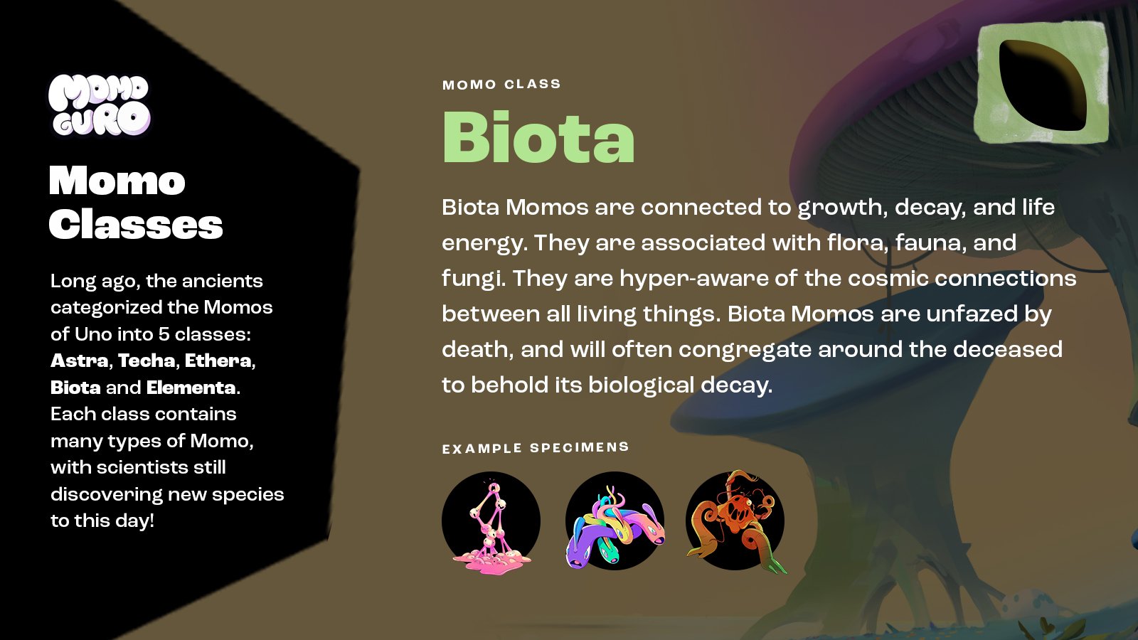 momo-classes_biota.jpg