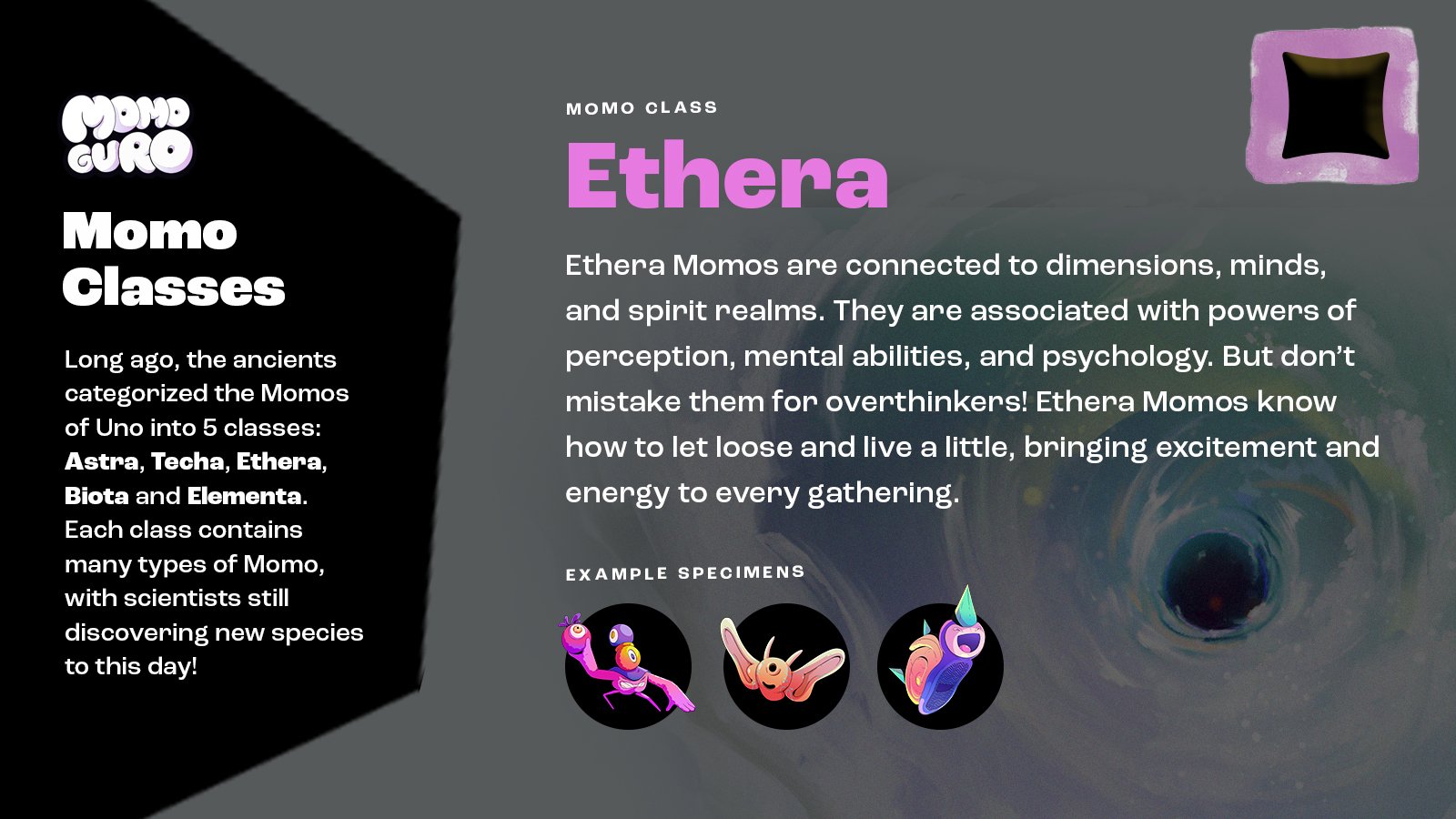 momo-classes_ethera.jpg