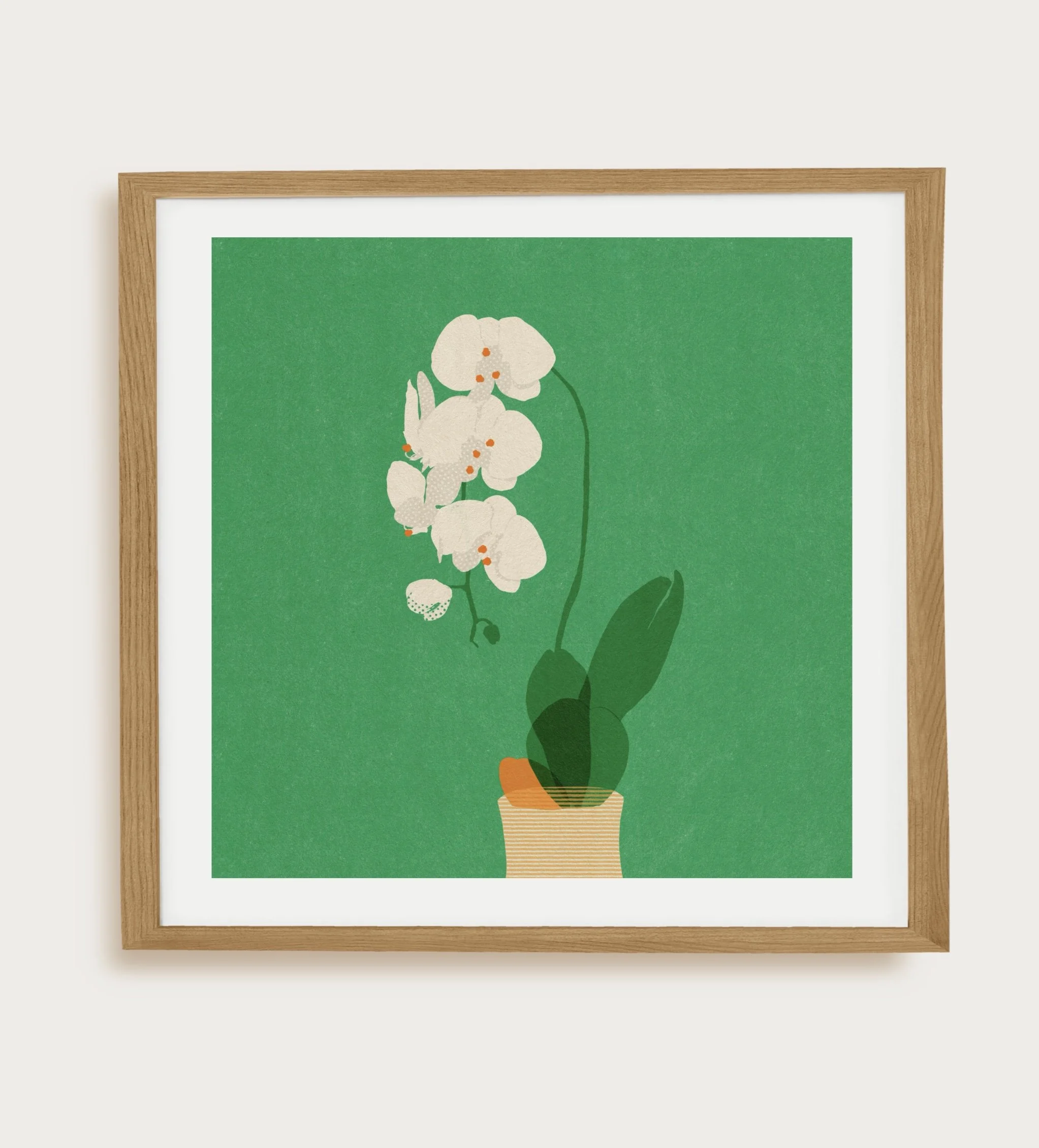 White Orchid Art Print