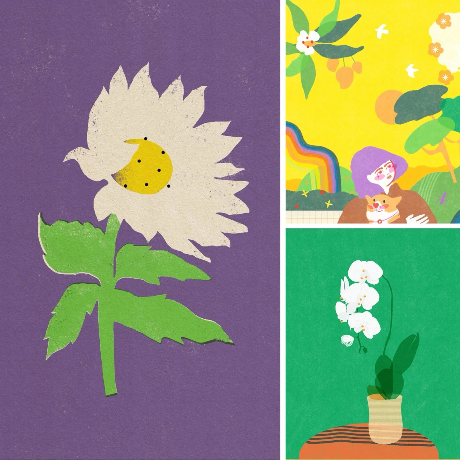 Flowers & Plants