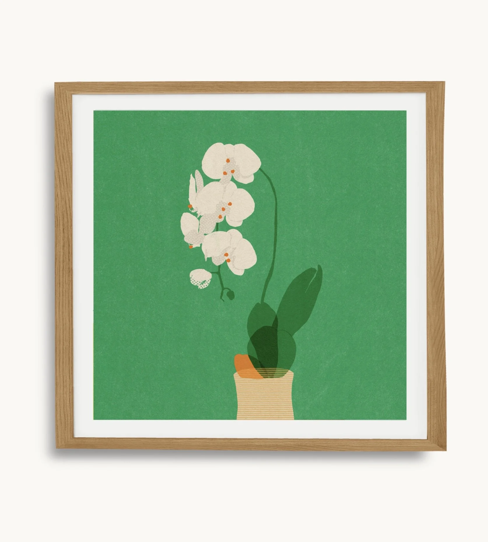 White Orchid Art Print