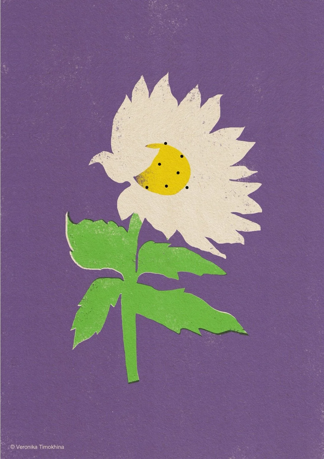 minimalist sunflower with a small spotted insect on a warm orange background.