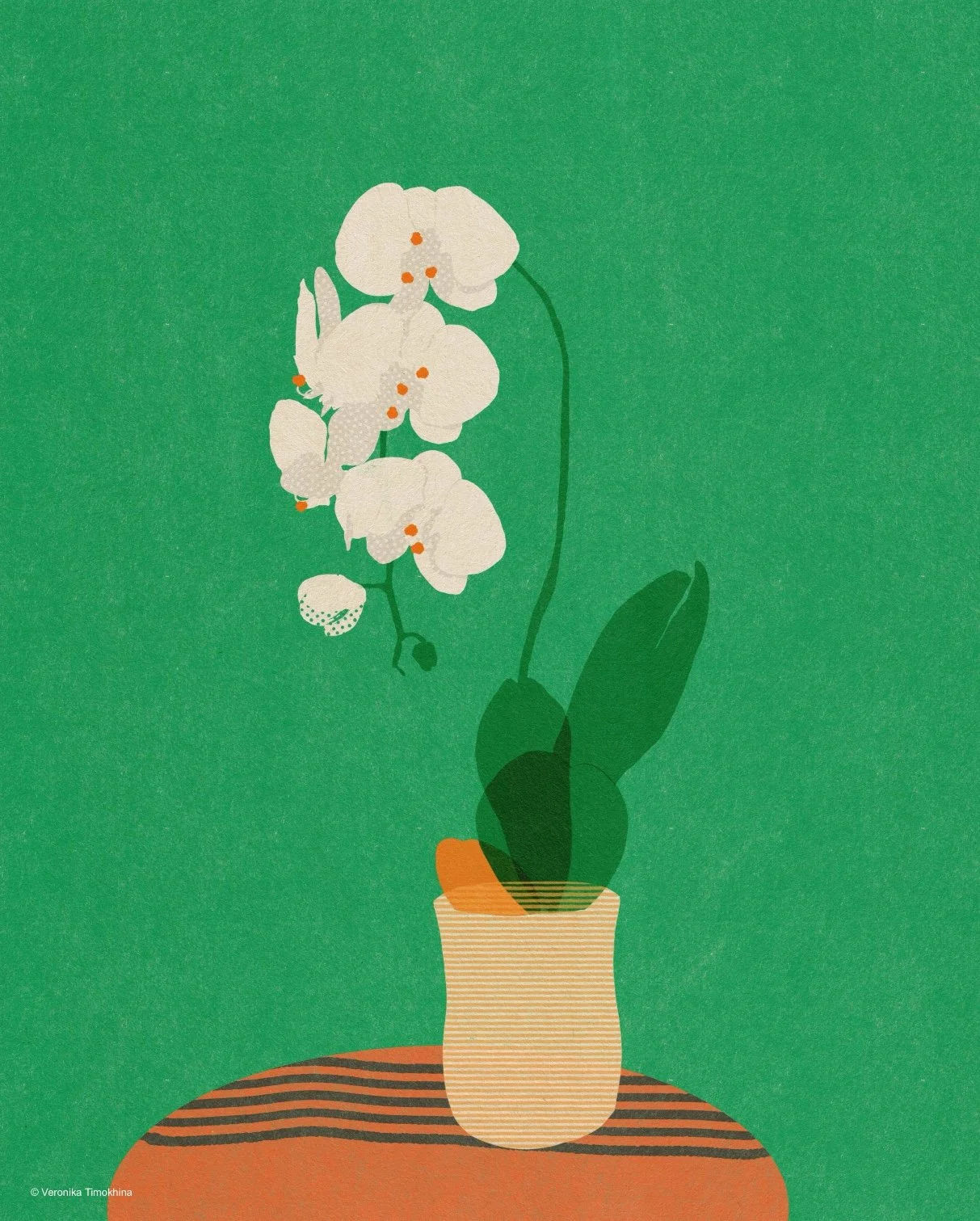 A minimalist illustration of a white orchid in a striped ceramic pot on a wooden table against a vibrant green background.