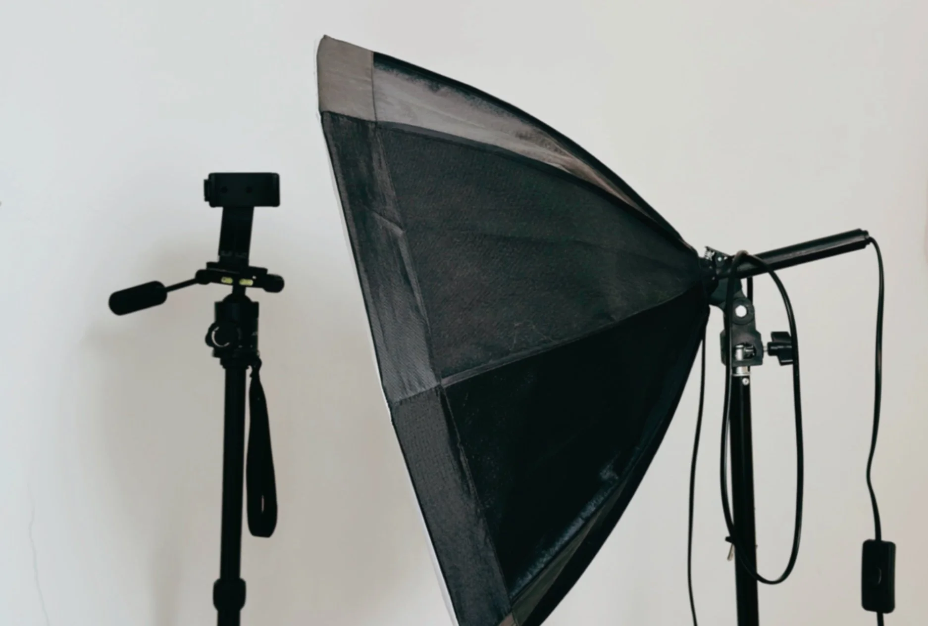 Intricate hand-cut layered paper art illustration by Veronika Timokhina, showing physical layers and shadows