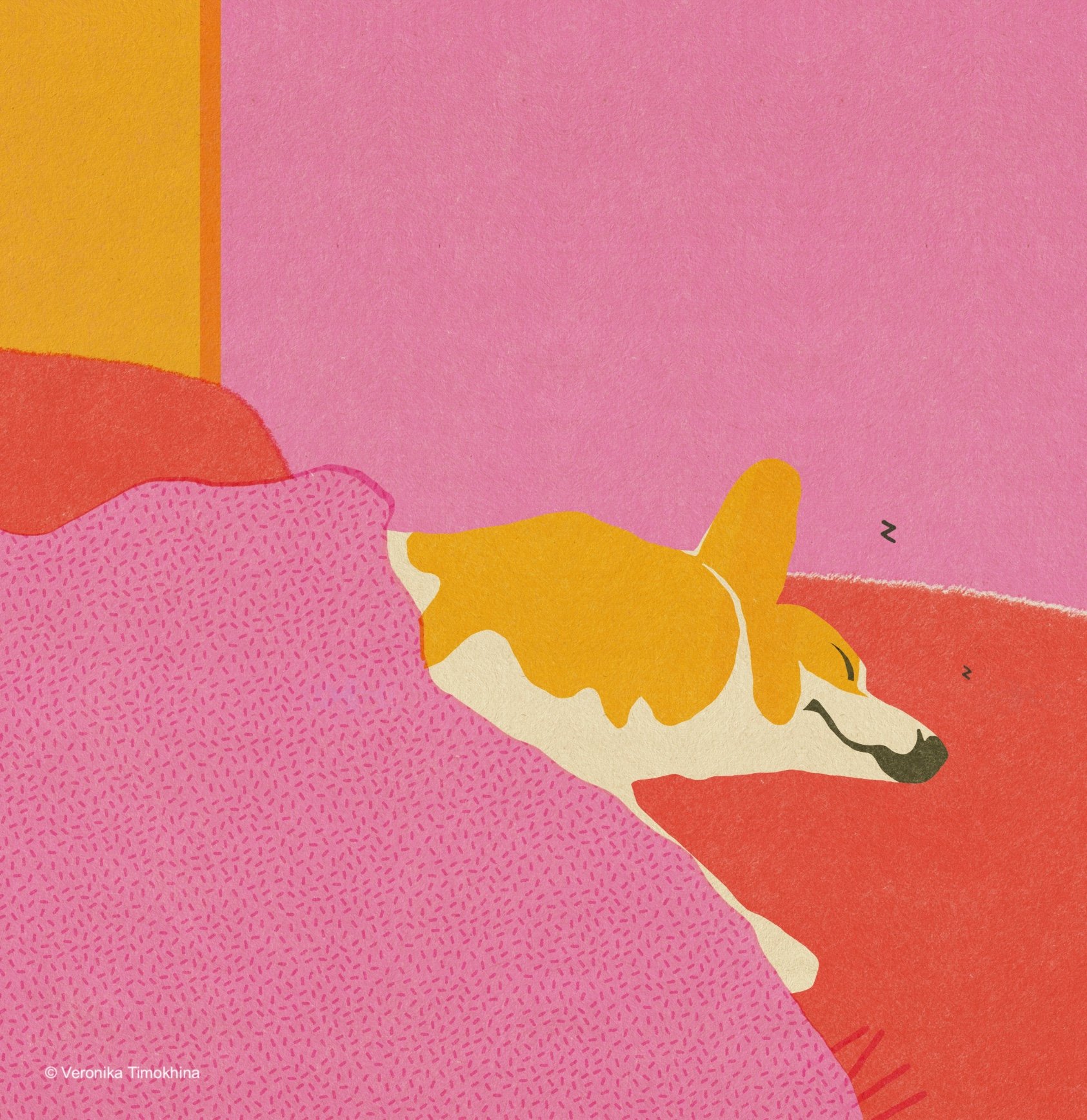 A sleeping corgi tucked under a pink blanket with its head resting on the bed in a colorful bedroom. Cozy dog illustration in warm pink, orange and yellow tones.