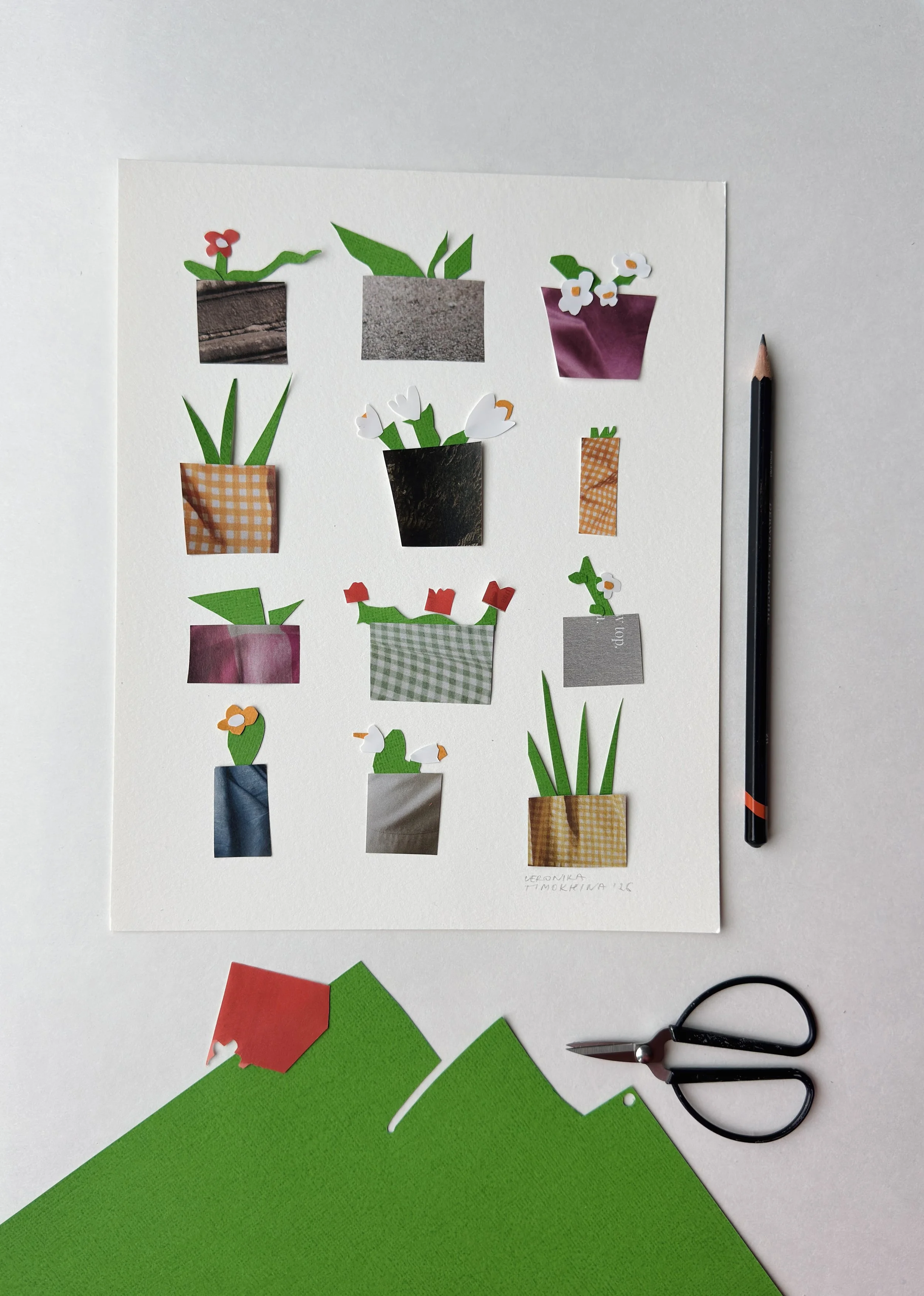 nine blooming flowers on the pots, spring collage illustration