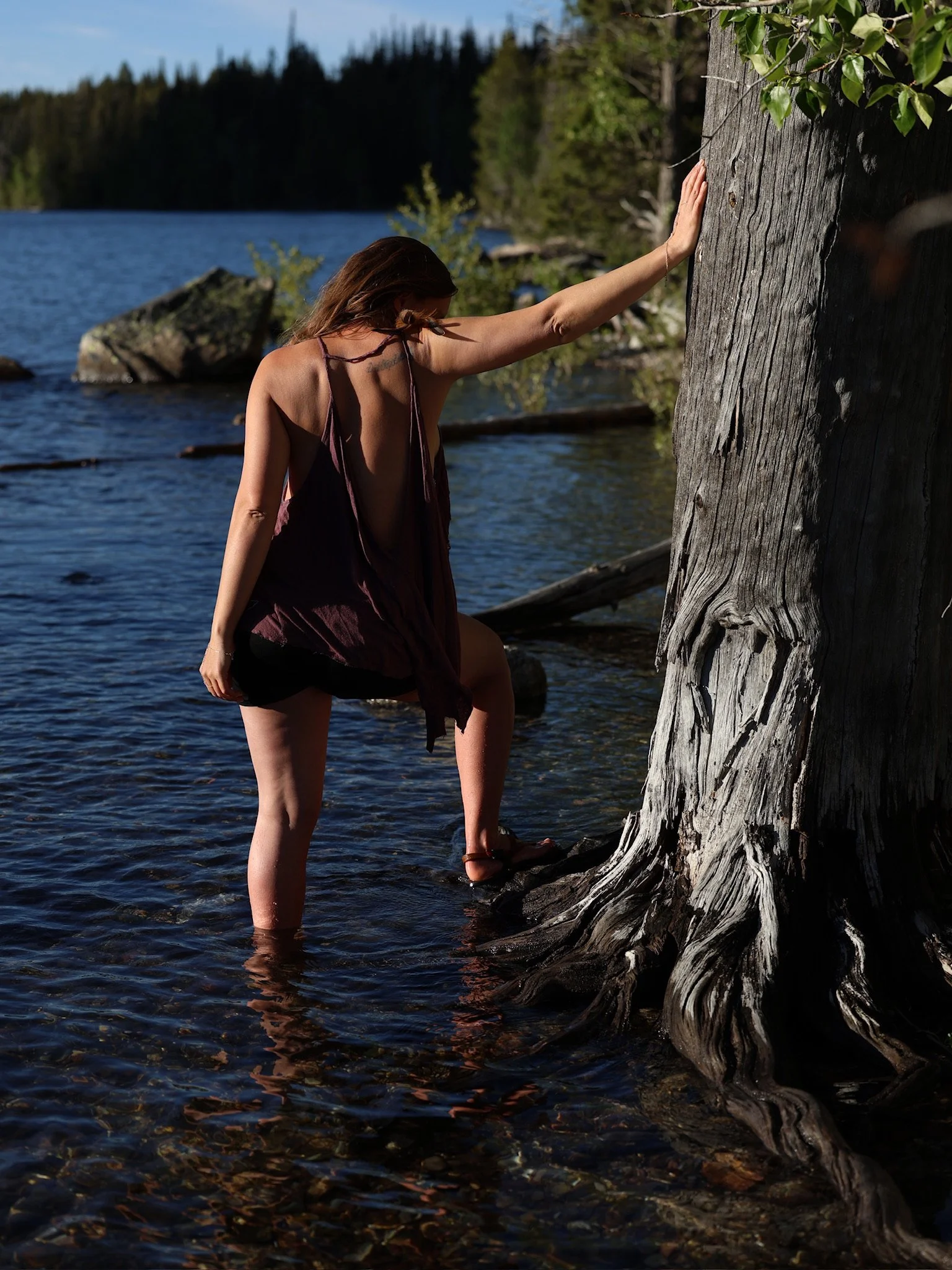Woman in a dress standing in the water near a large tree trunk by a lake, with a forested background.