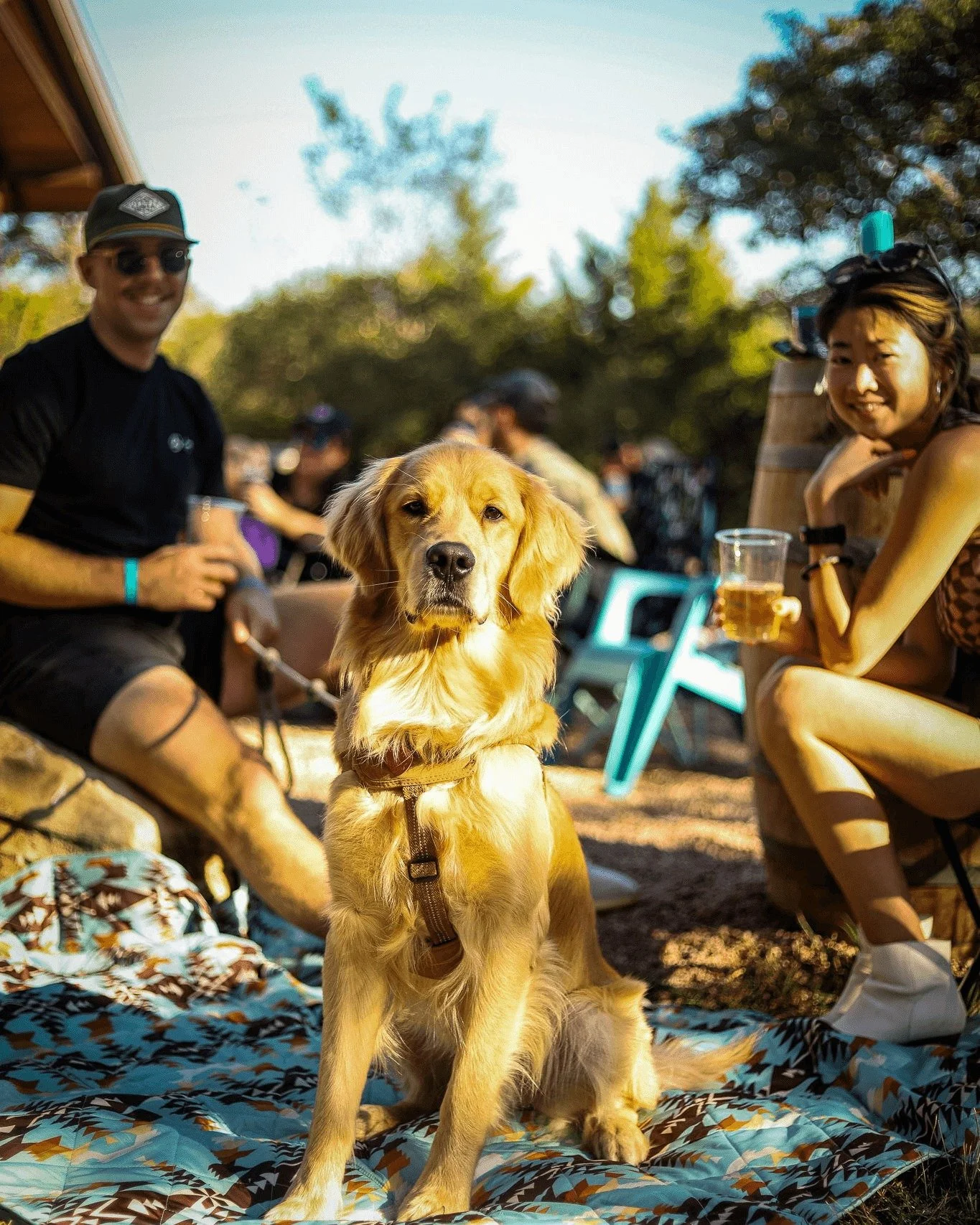 Hey, friends!  First, this cute dog!  Now...March events!! Spring is upon us, and we've packed the March calendar with fun &amp; unique events. We invite you to spend a part of your Spring Break with us &amp; let the kiddos explore the ranch!

You wo