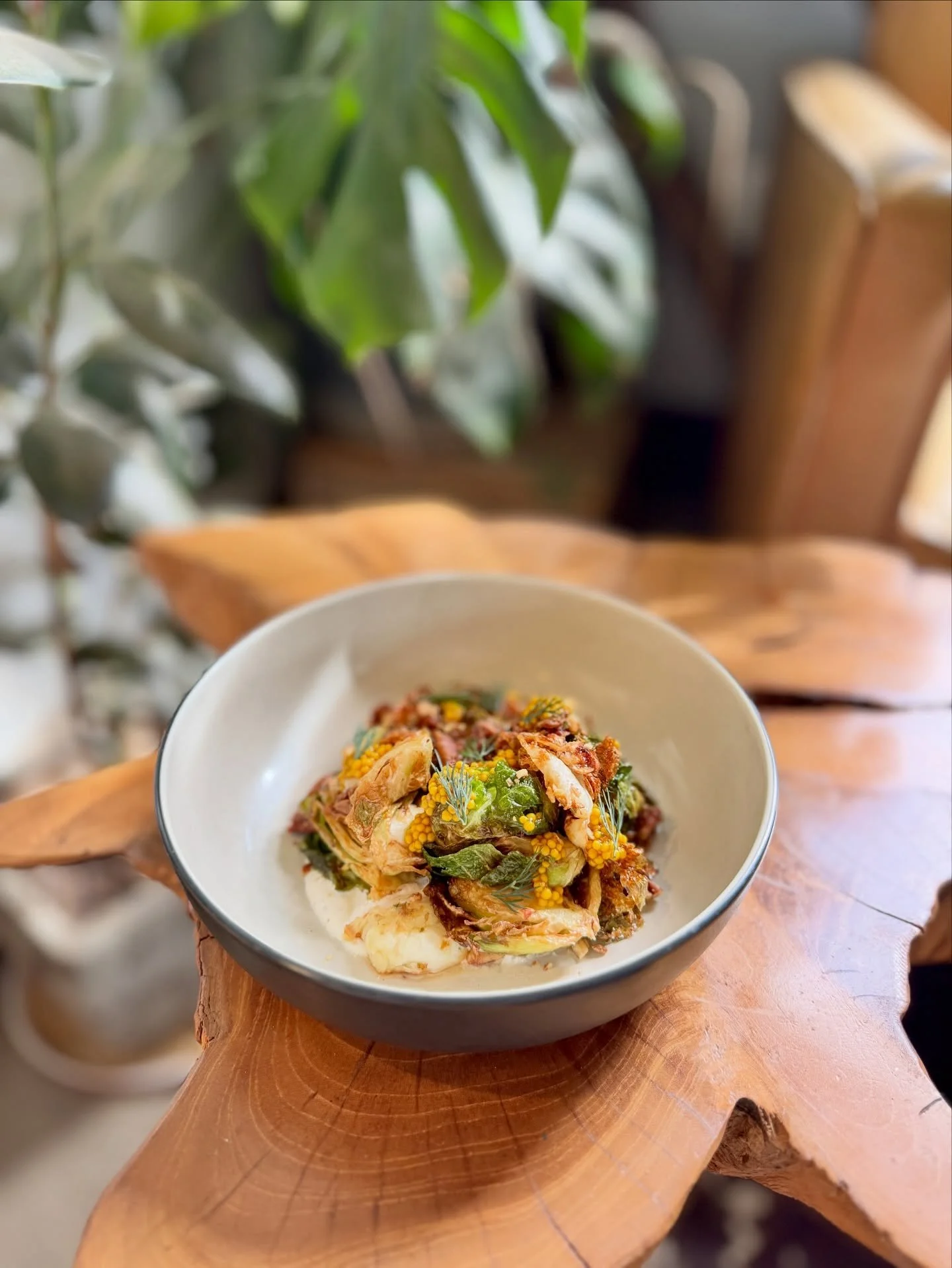 Easter brunch is ON tomorrow with a family-friendly &amp; group-friendly day in the Hill Country! 

⏰ Opening early at 10am 
🐐 @goatshenanigans &amp; @rootedtreasuressucculents
🔎 Free scavenger hunt
🎶 Two bands 
🎟️ Check all the details on Eventb