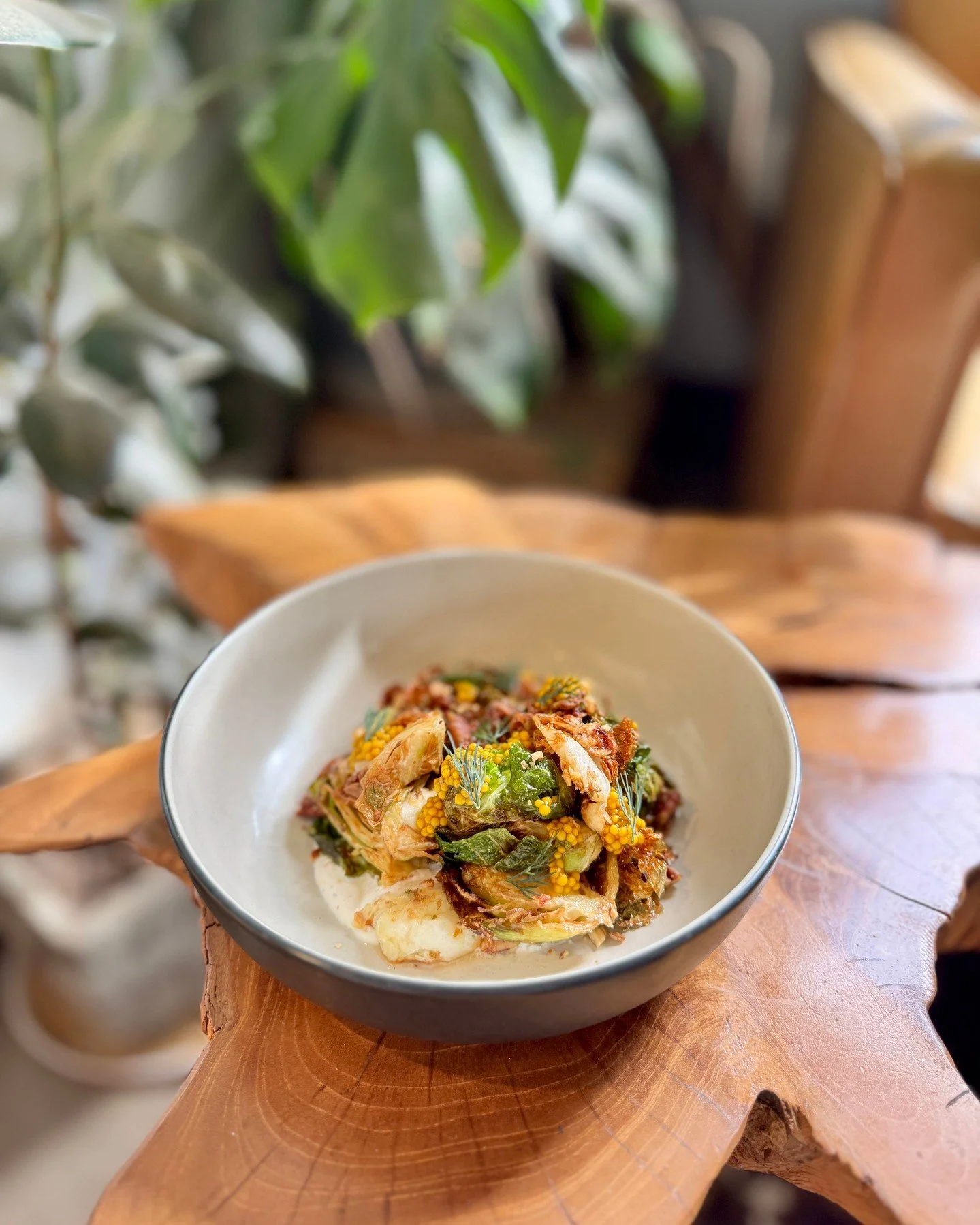 Two new vegetarian items hitting the daily menu today!  These chef-driven dishes showcase fresh veggies and local goat cheese.  Shareable or keep it all to yourself....gotta get those veggies in!

🥕 Carrot Patch Salad
Smoked carrot threads, garden r