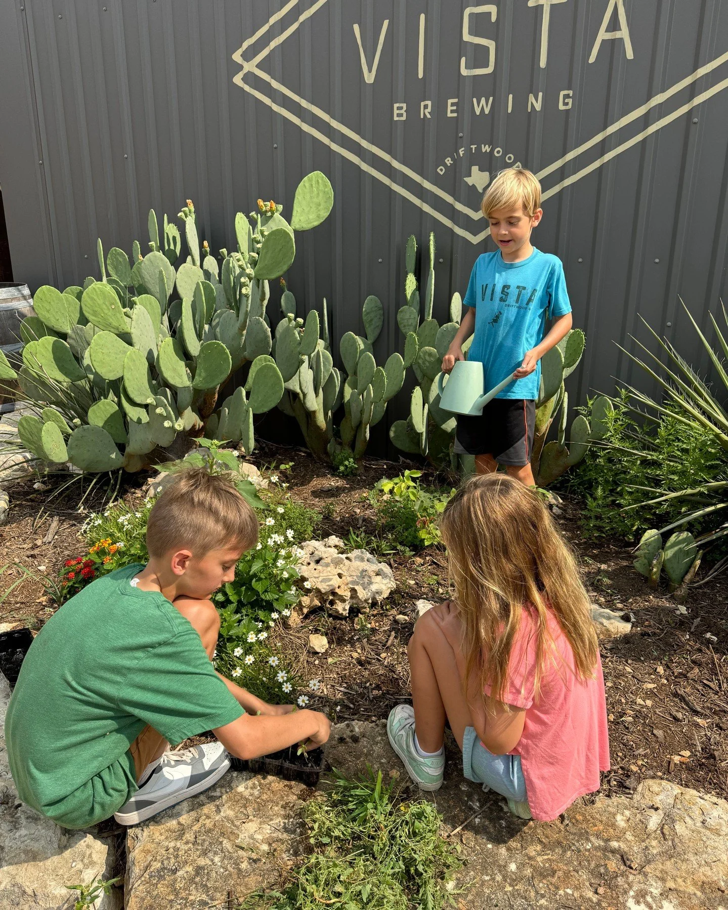 Still looking for a fun summer camp for your elementary kiddo?? Camp Driftwood has just a few spots left in Week 1, the first week of June.  Week 2 is sold out!

Camp is hosted during hours that Vista is closed to the public, giving the kiddos free r