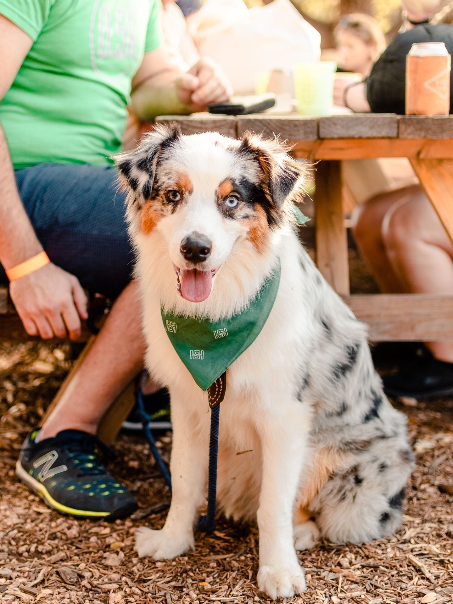 MAY NEWS FROM VISTA

May is here, and the calendar is packed!  New brews, new menu items and plenty of fun events.  See y&rsquo;all at the ranch!

Fri, May 1 - Sun, May 3 Pint for a Pint Agarita Foraging
Sat, May 2 @barksforbeers Kickoff Party 11am-4