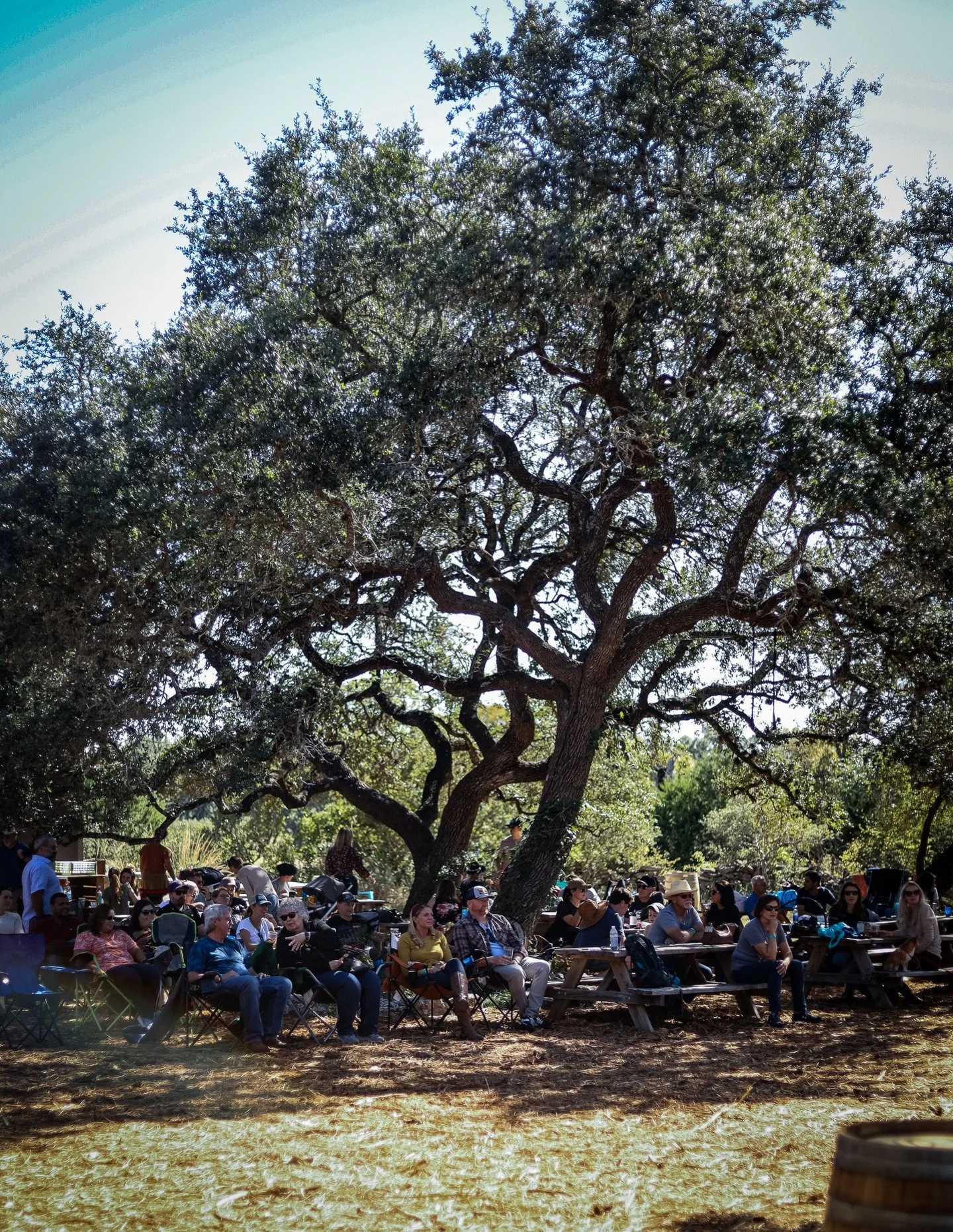 What a difference a day makes!! Bye, rain.  Hello, gorgeous Hill Country Saturday! 

☀️See y&rsquo;all at the ranch!