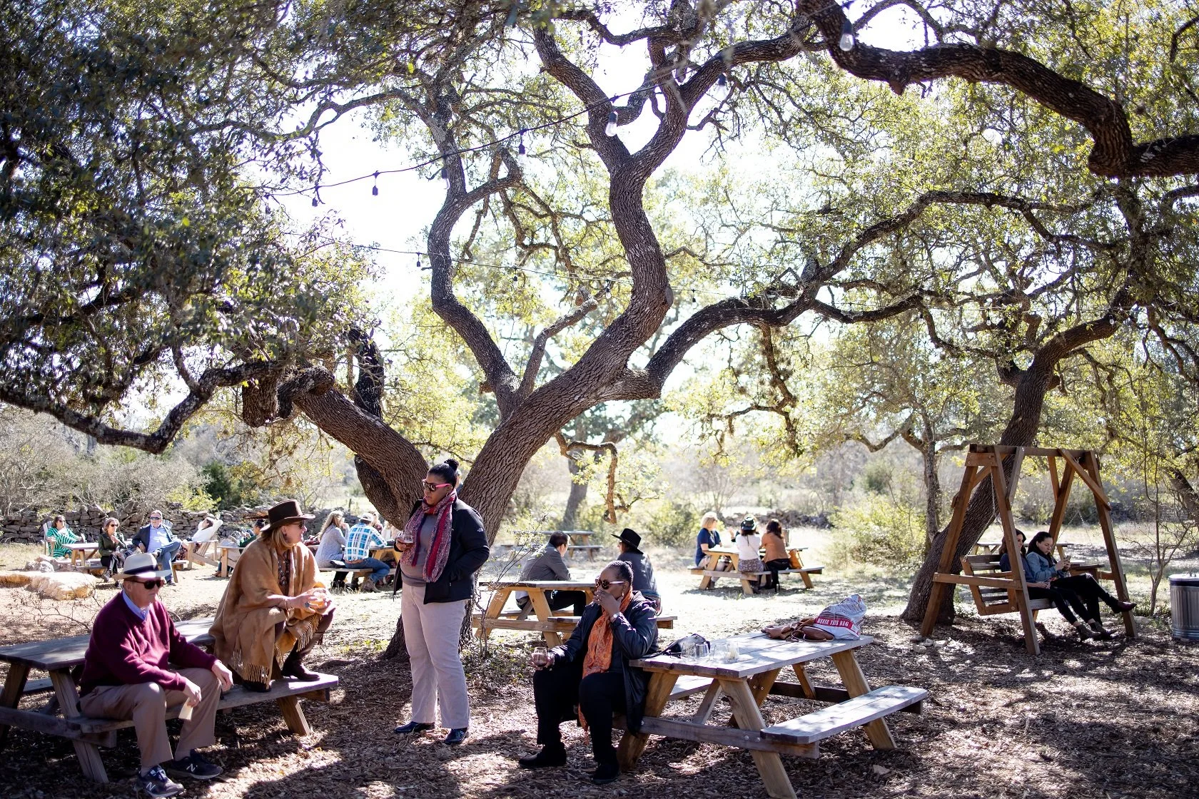 People enjoying a sunny day at a park with large trees, sitting on picnic benches and a swing, some talking, some reading, and others relaxing under the tree canopy.