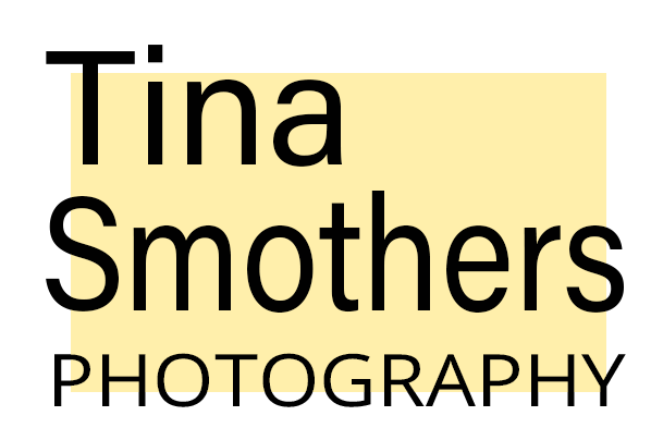 Chicago Corporate Headshot &amp; Portrait Photographer Tina Smothers