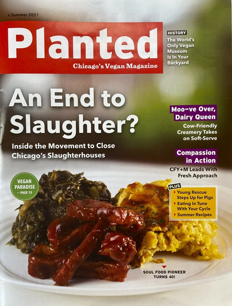 commercial photography cover shot for a vegan magazine of a local family restaurant