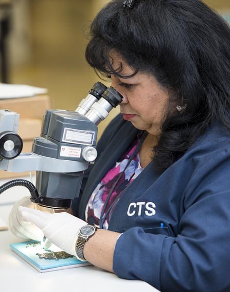 A woman in laboratory attire using a microscope to examine a sample.